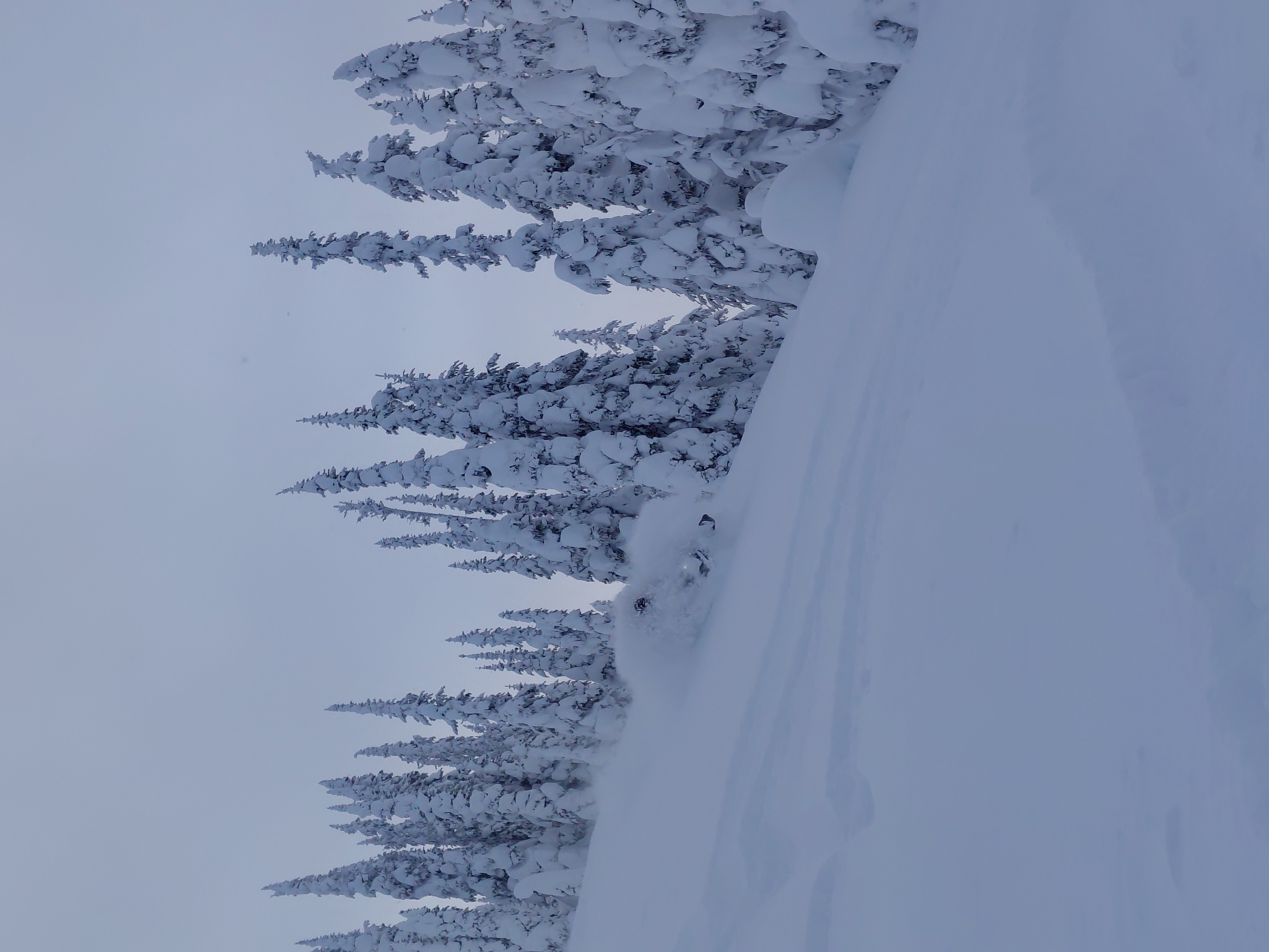 Observation photo