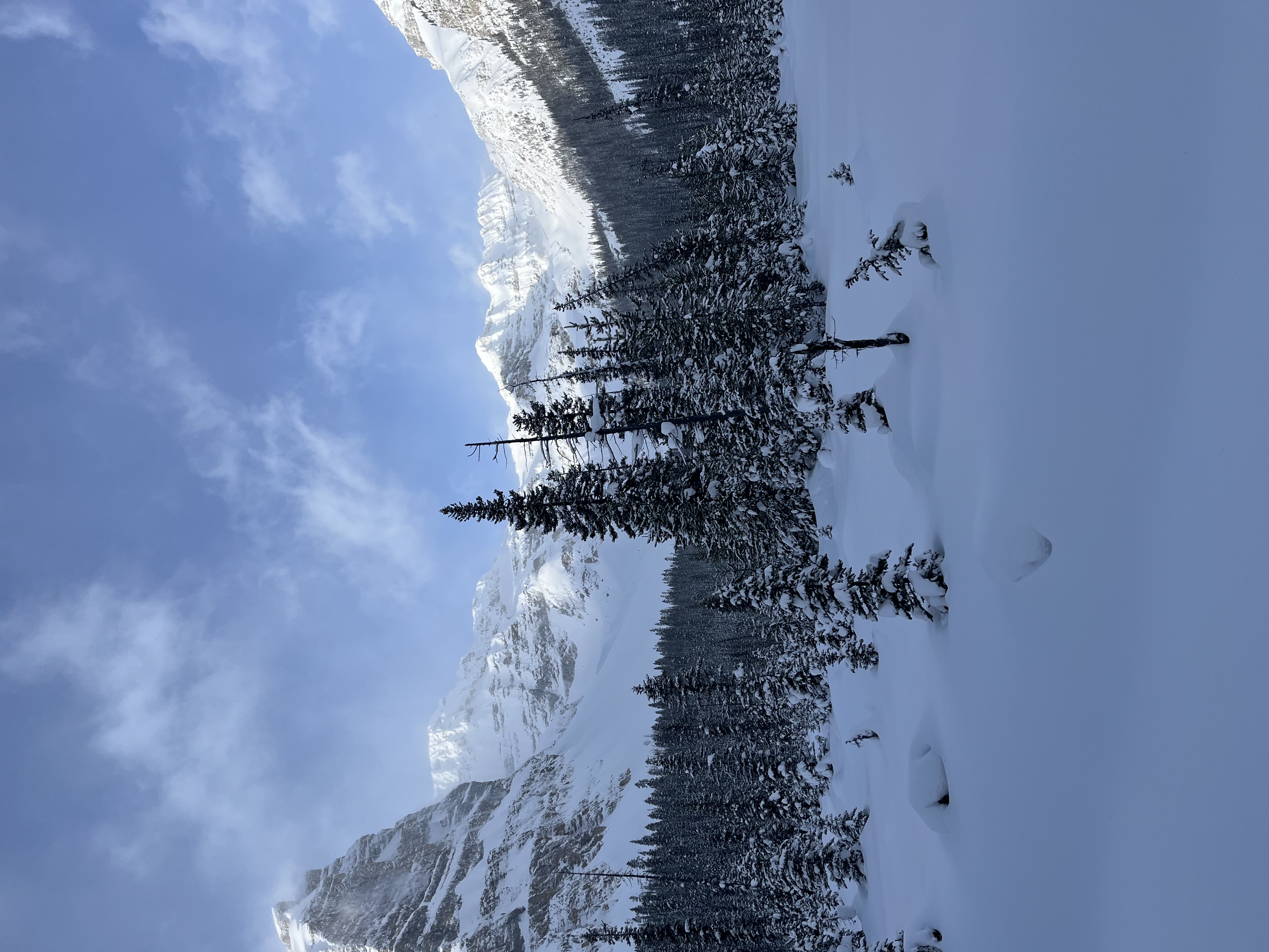 Observation photo
