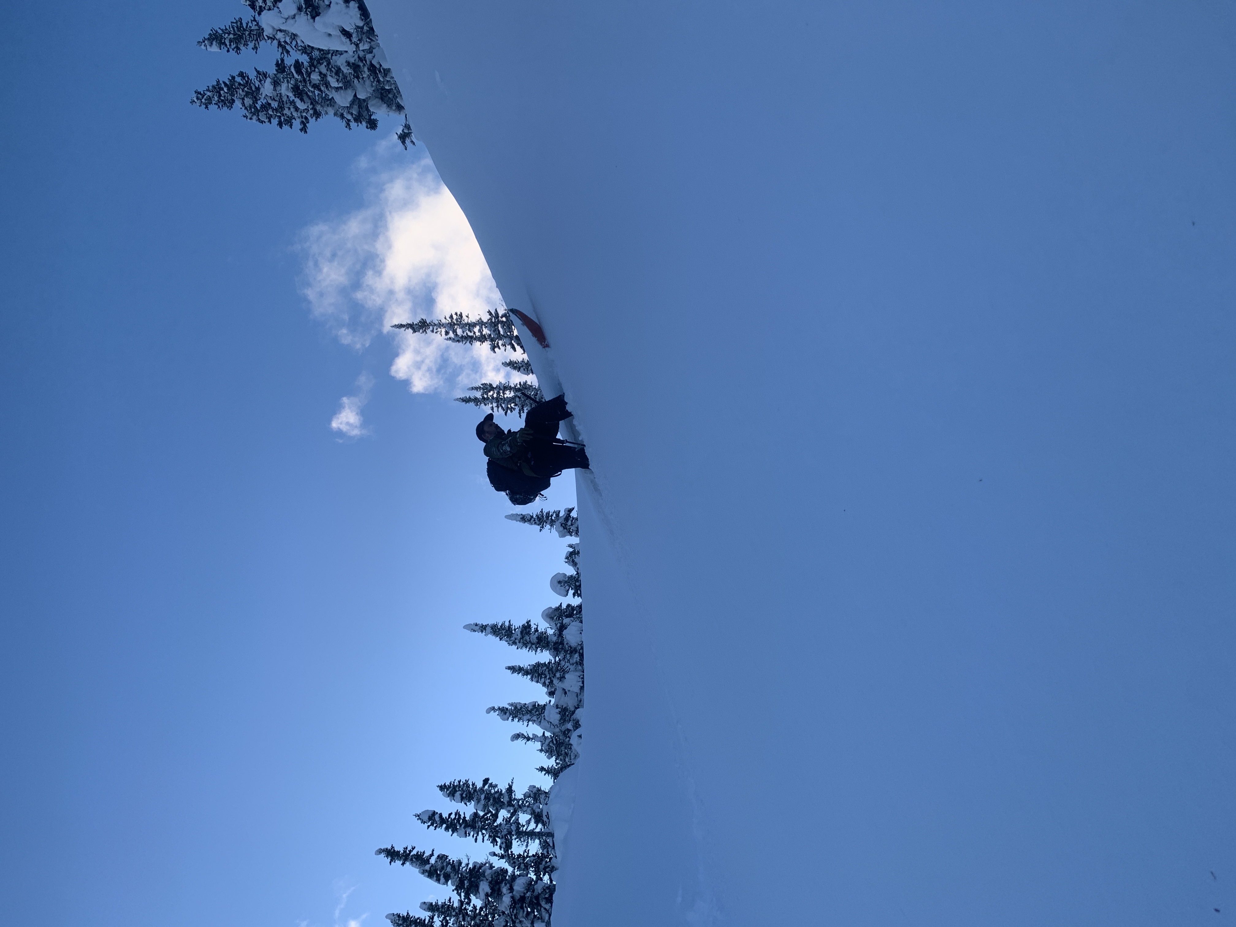 Observation photo