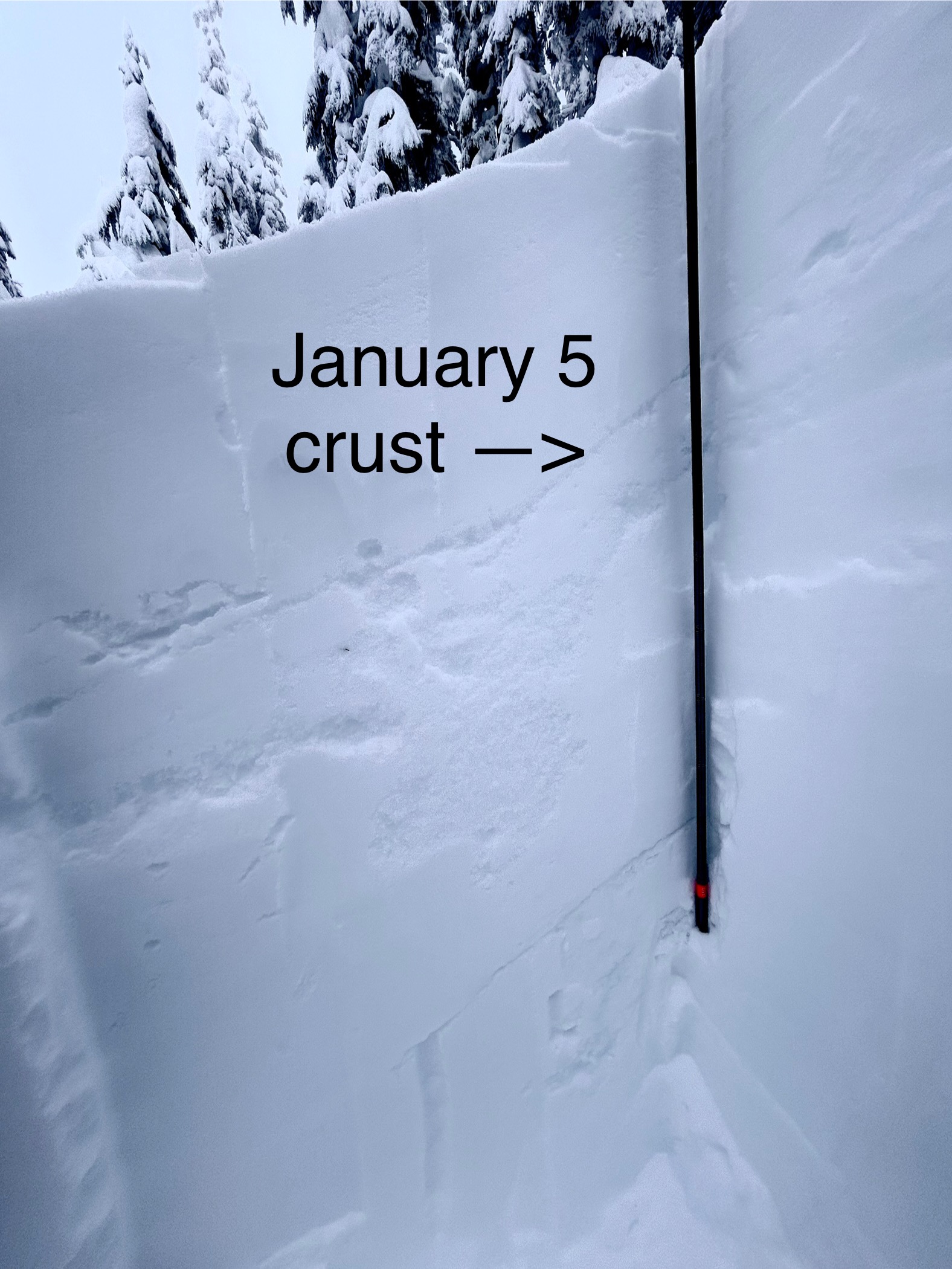 Observation photo