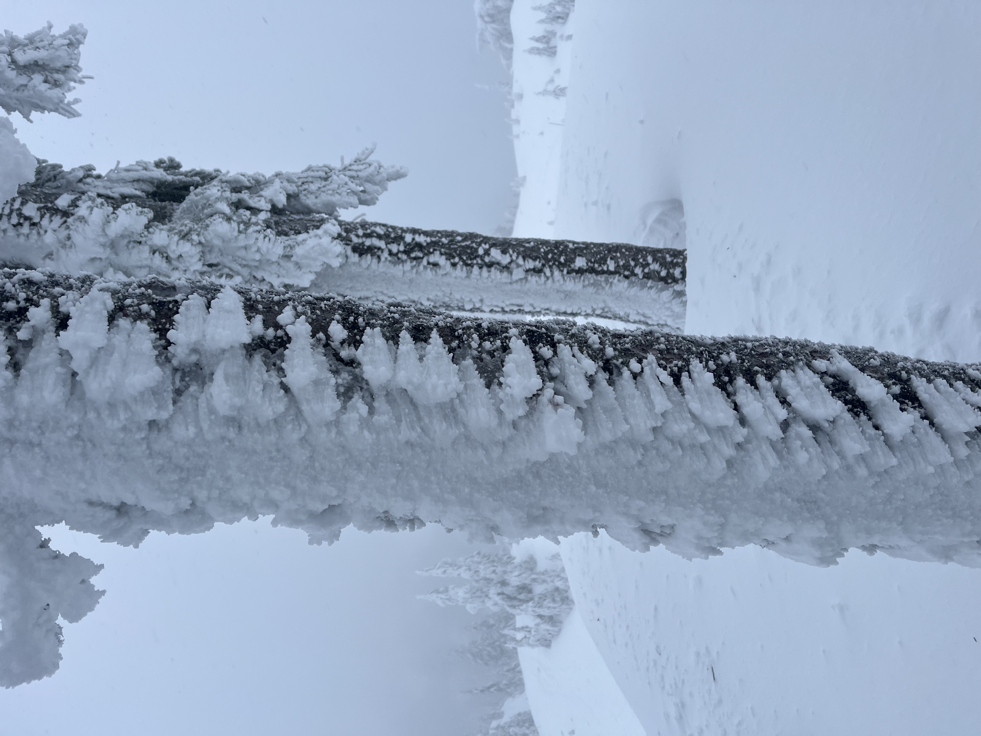 Observation photo