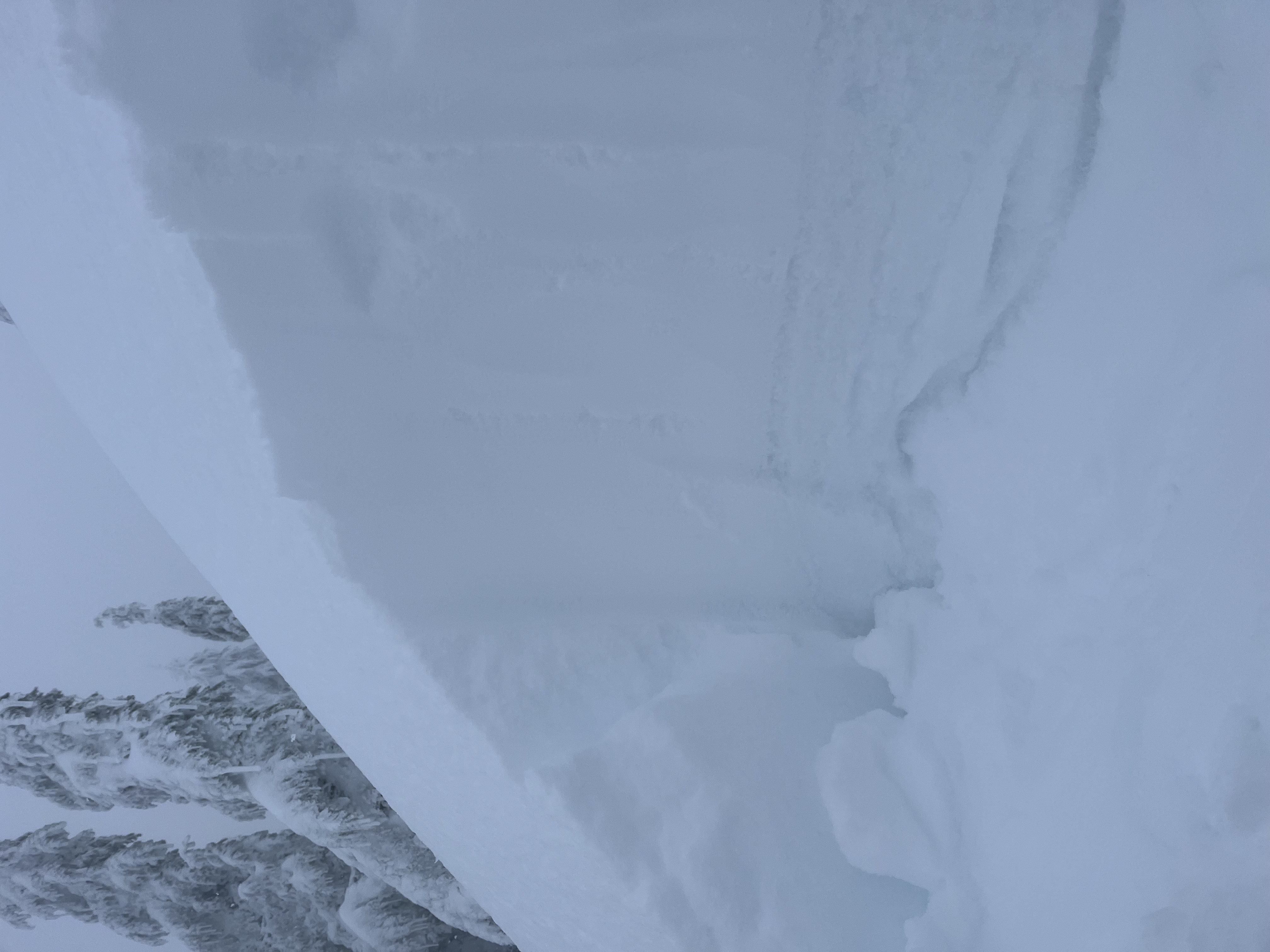 Observation photo