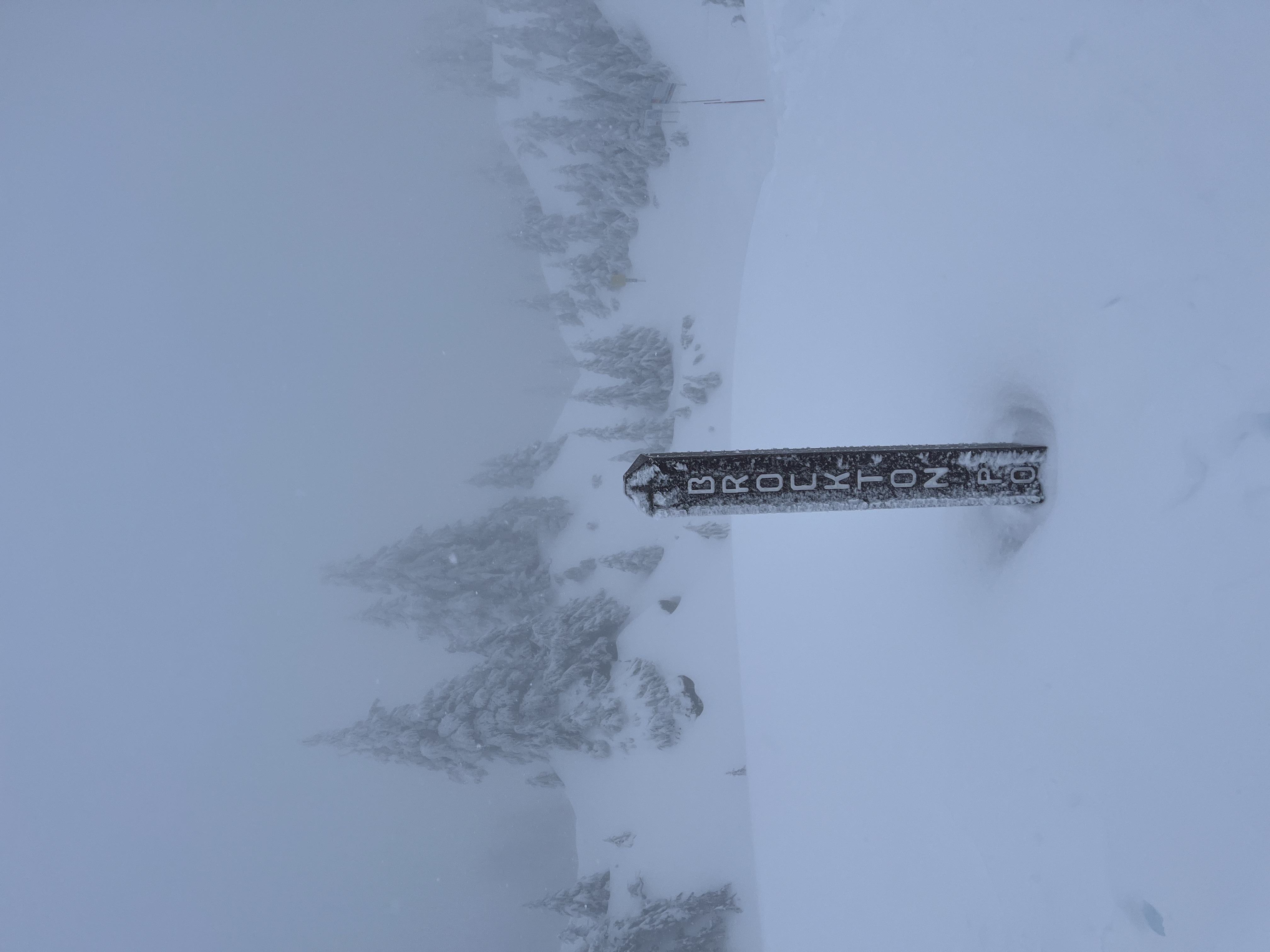 Observation photo