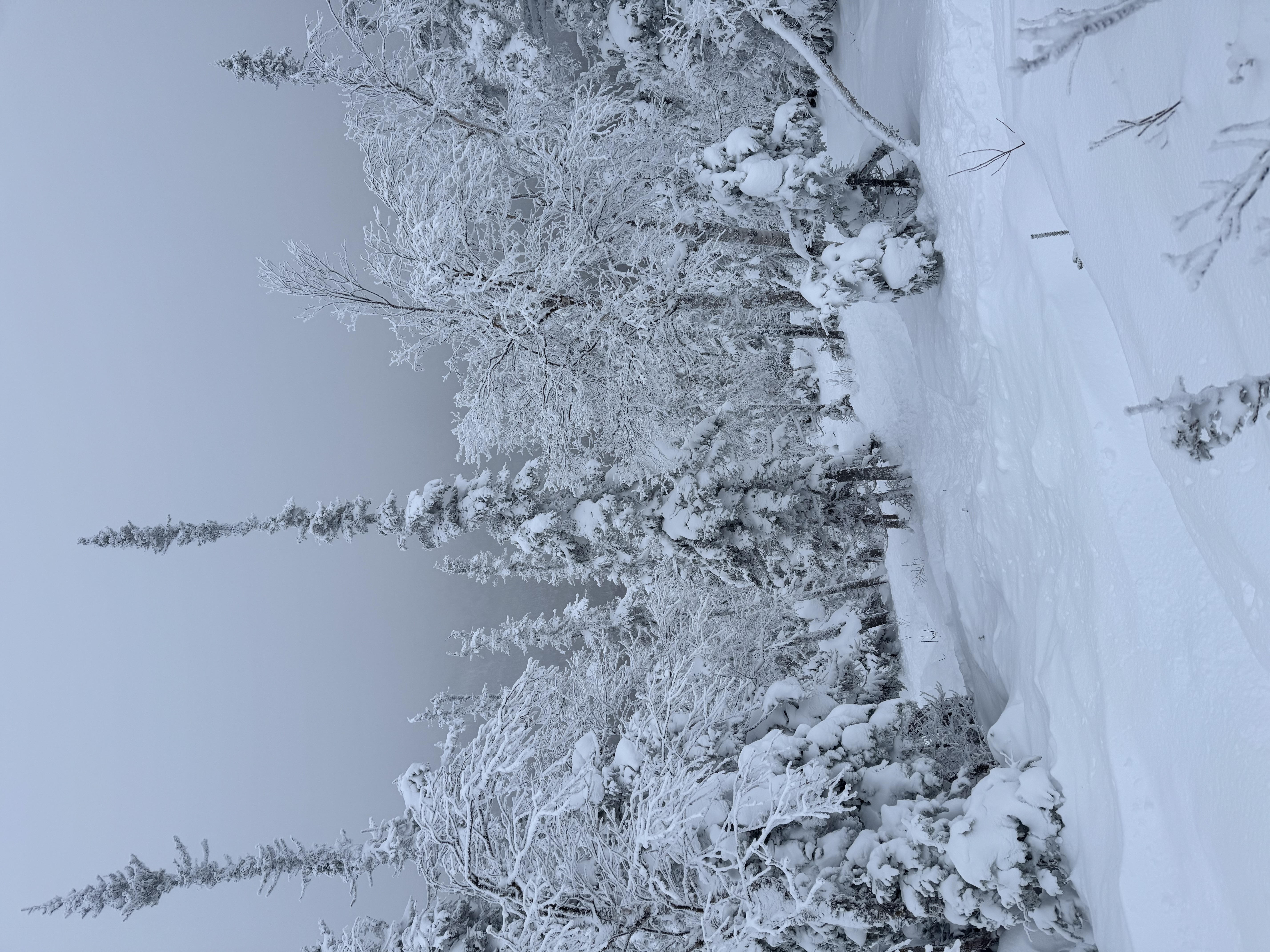 Observation photo