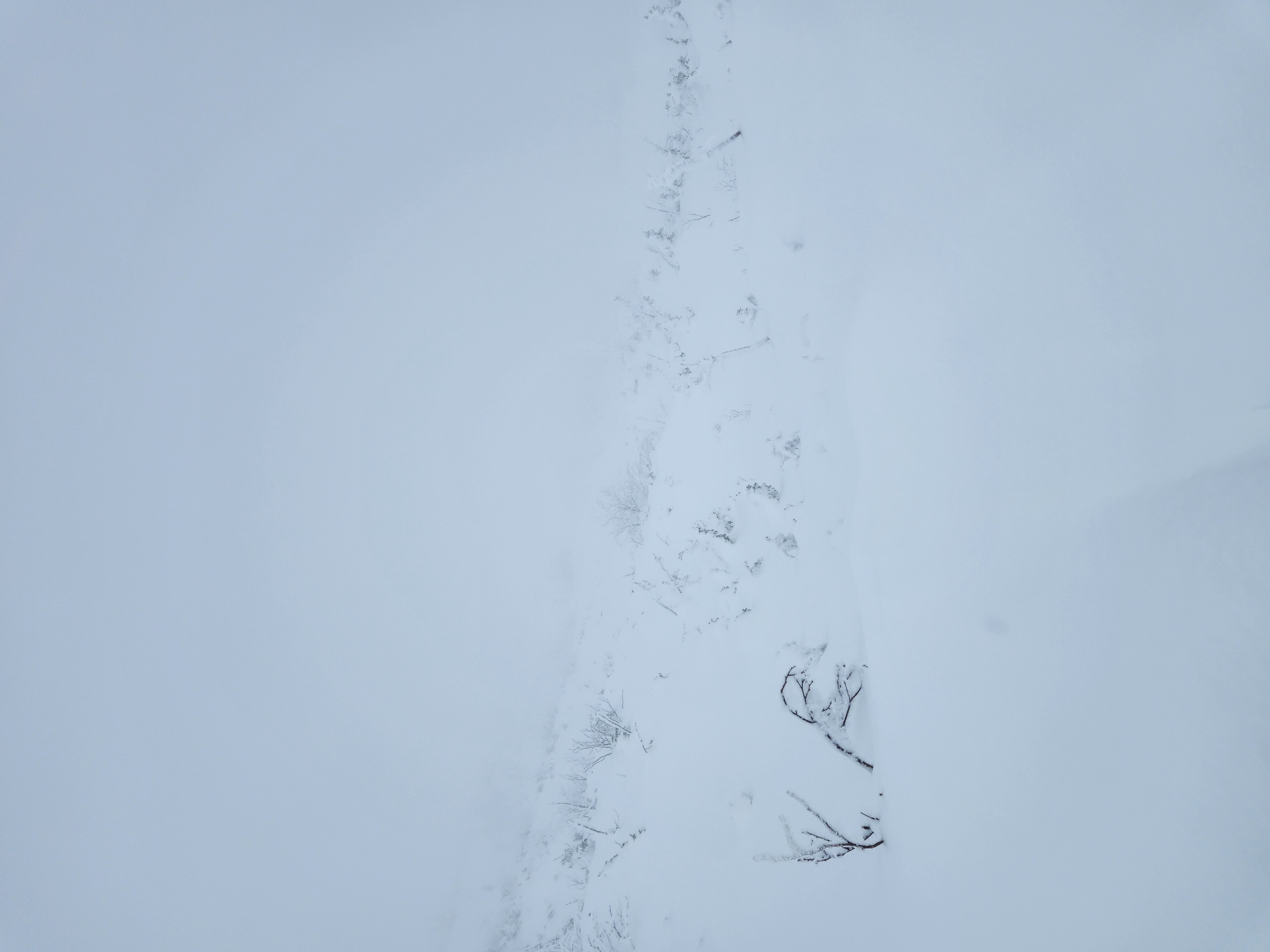 Observation photo