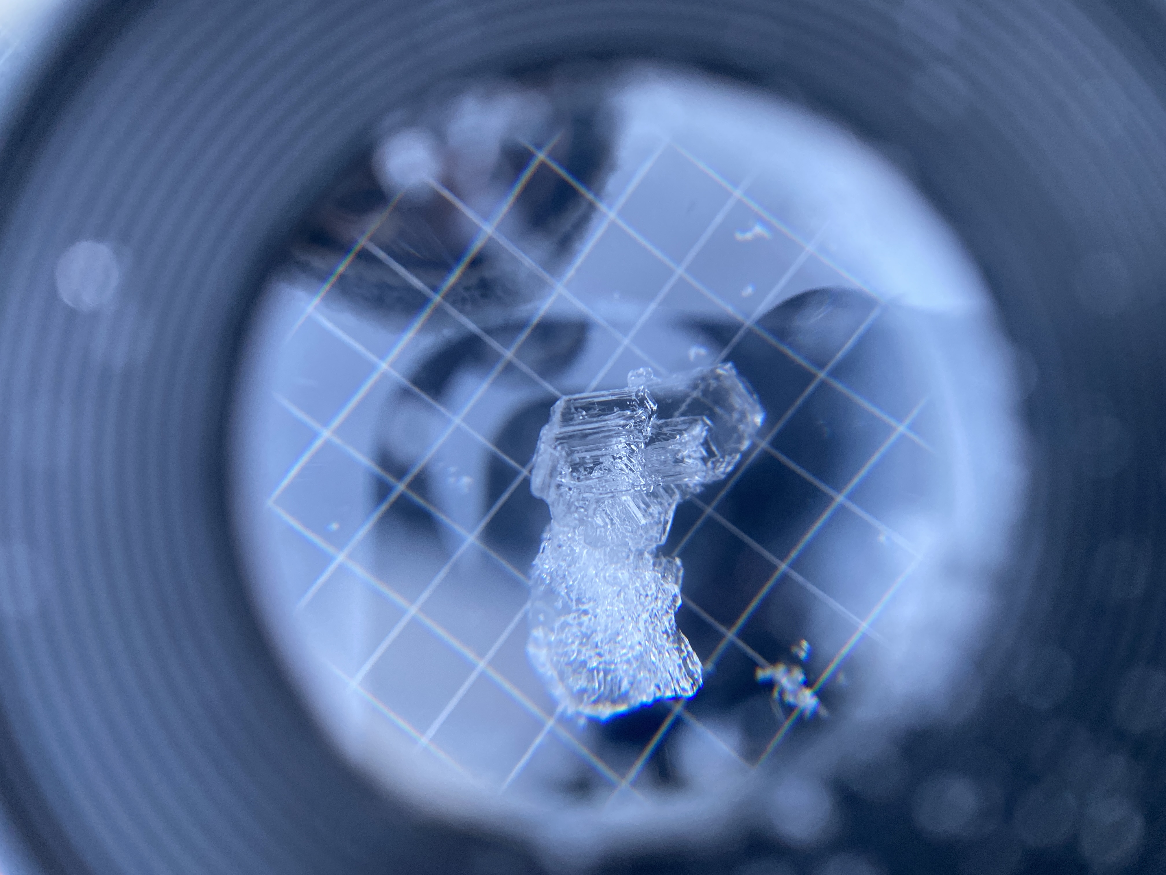 Observation photo