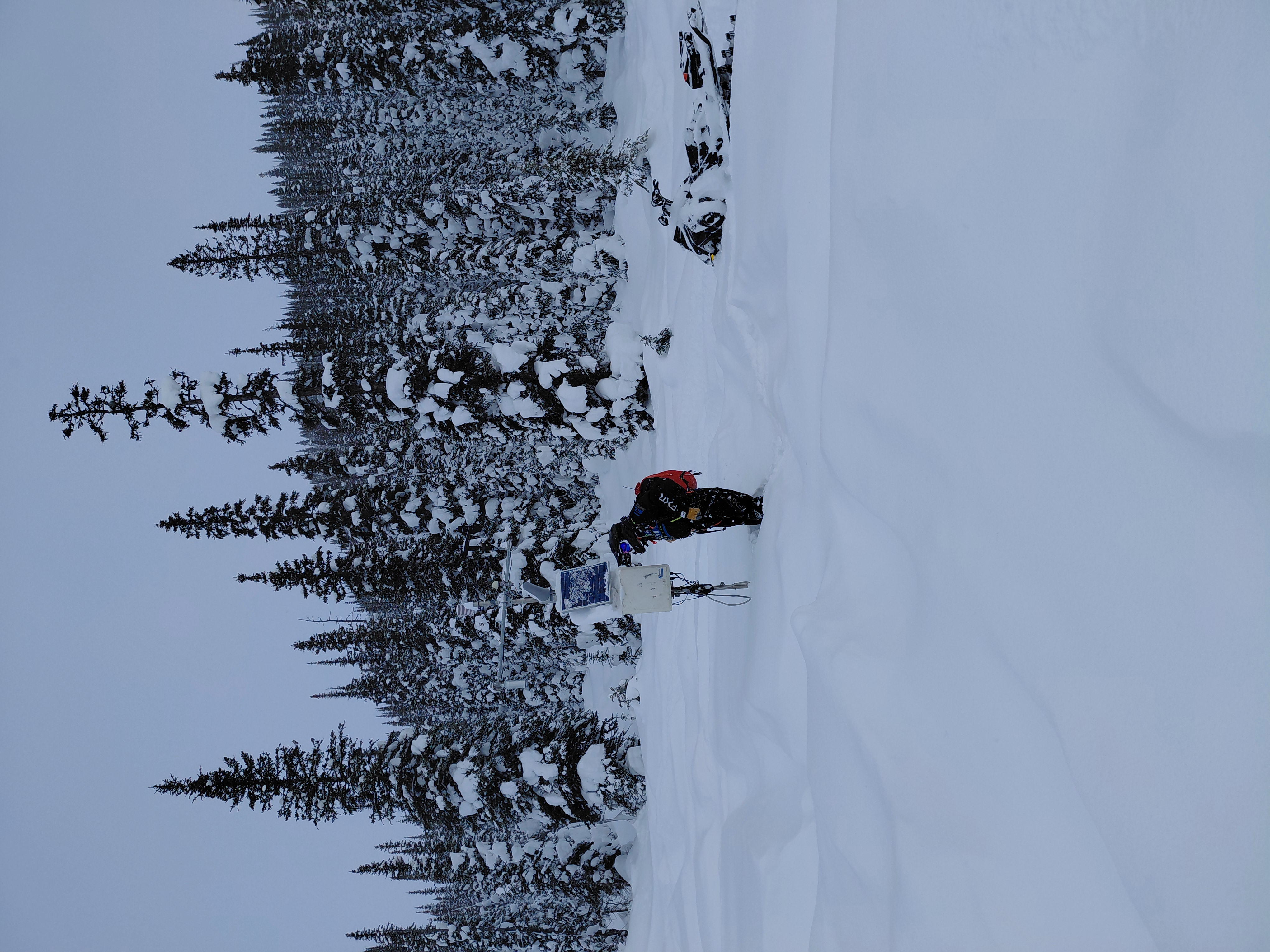 Observation photo