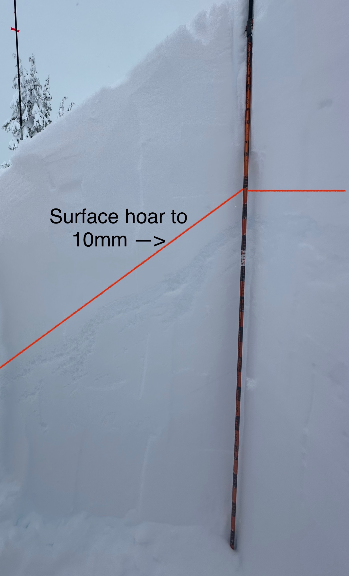 Observation photo