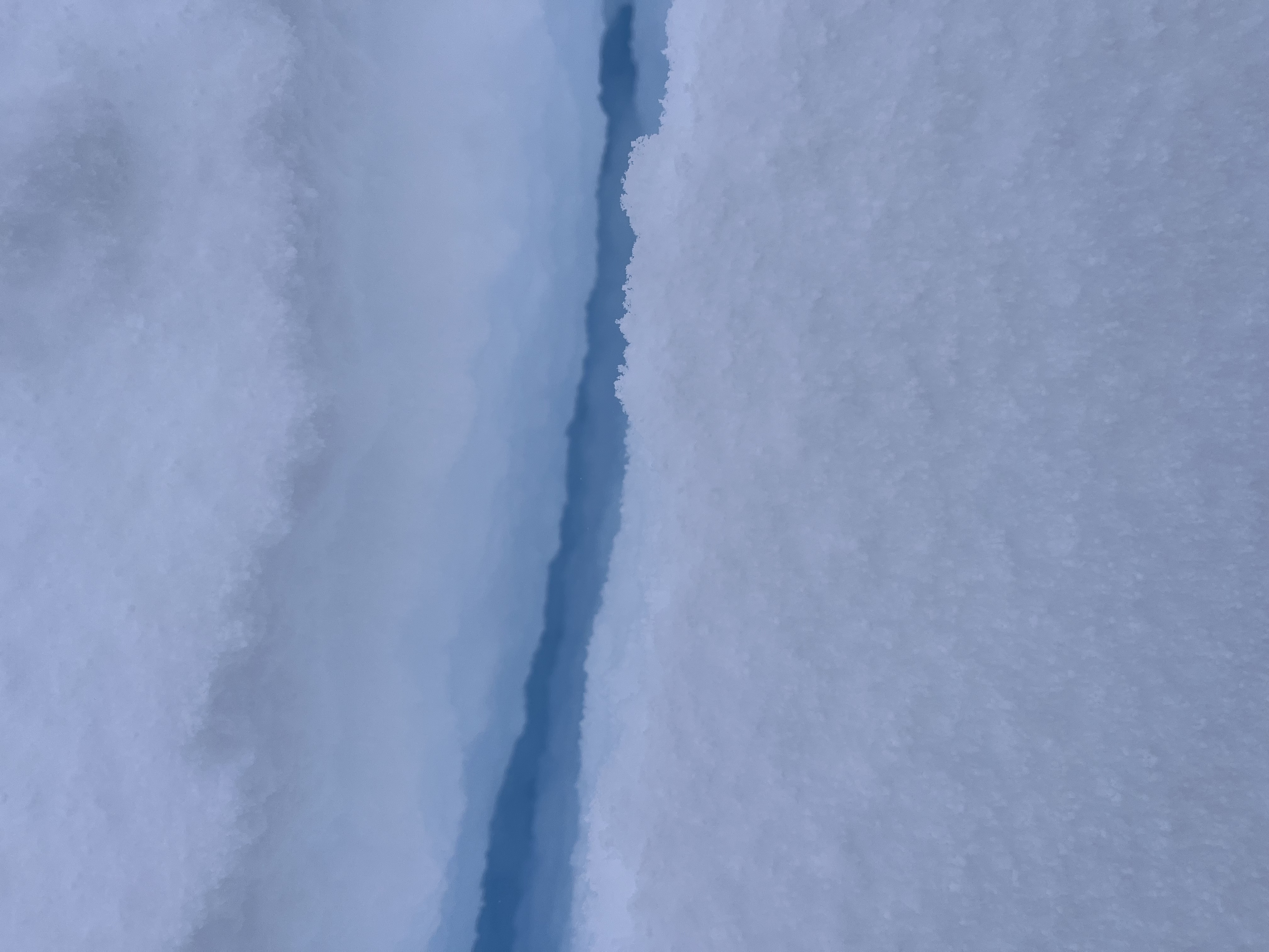 Observation photo