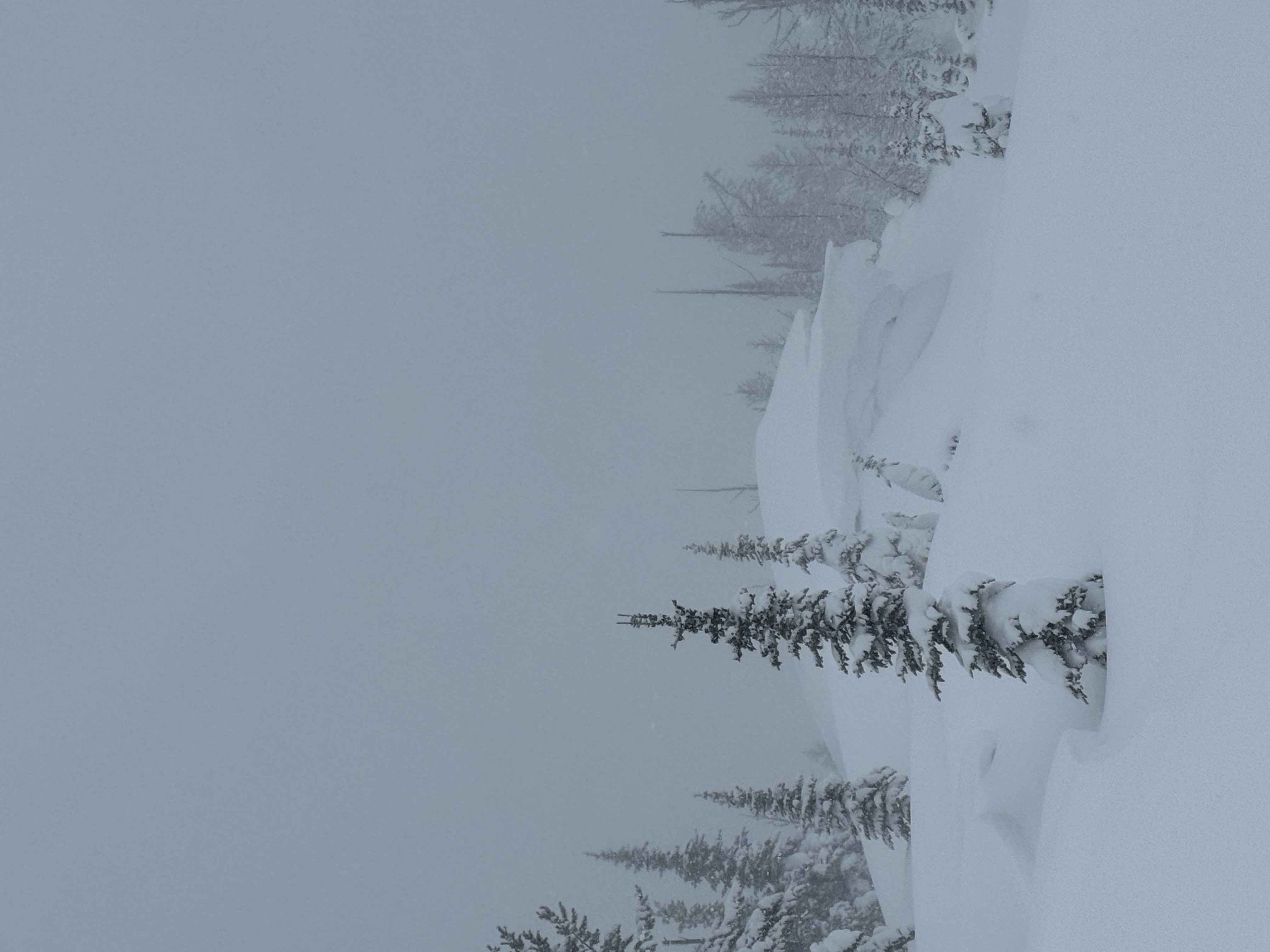 Observation photo
