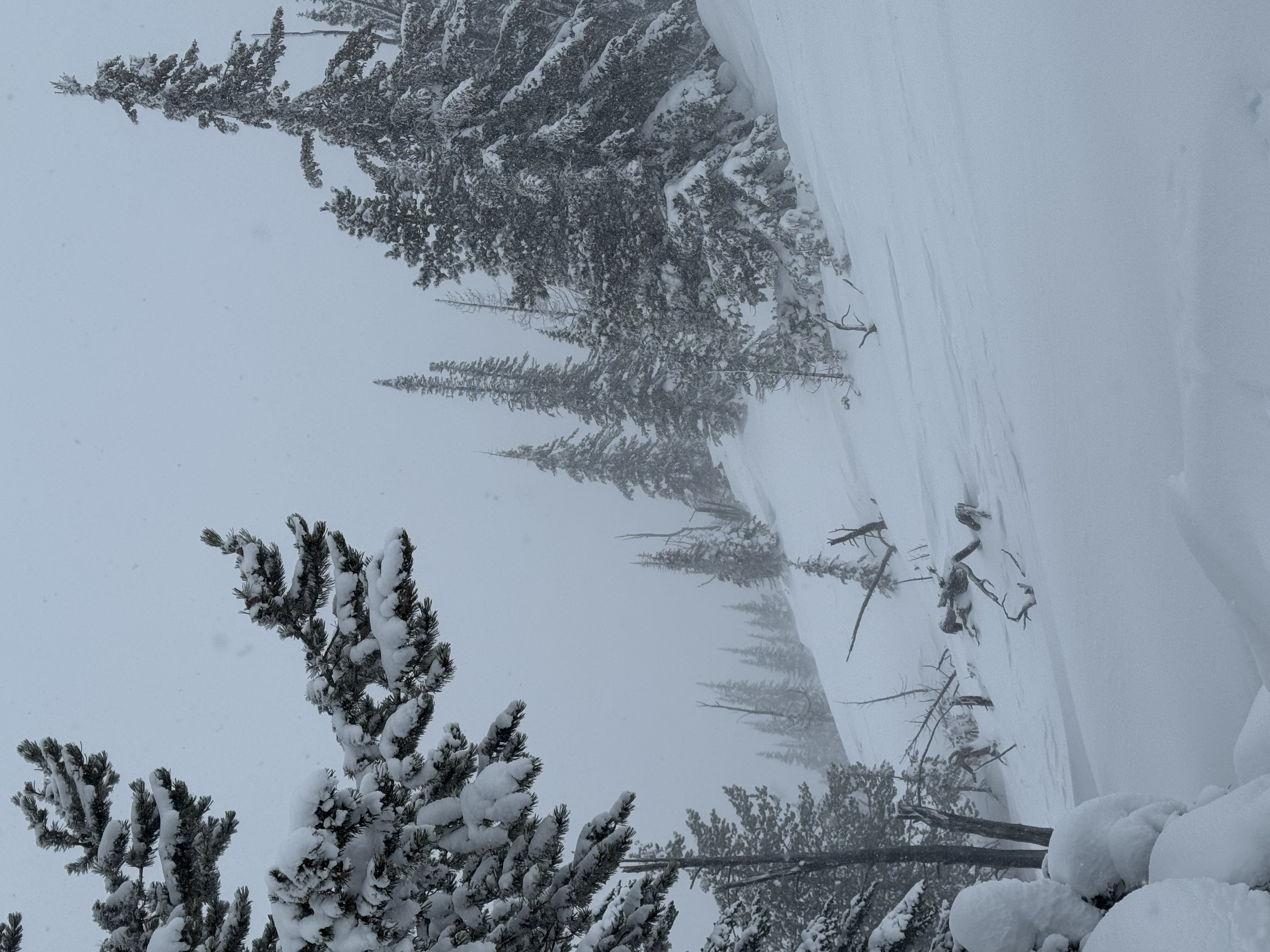 Observation photo