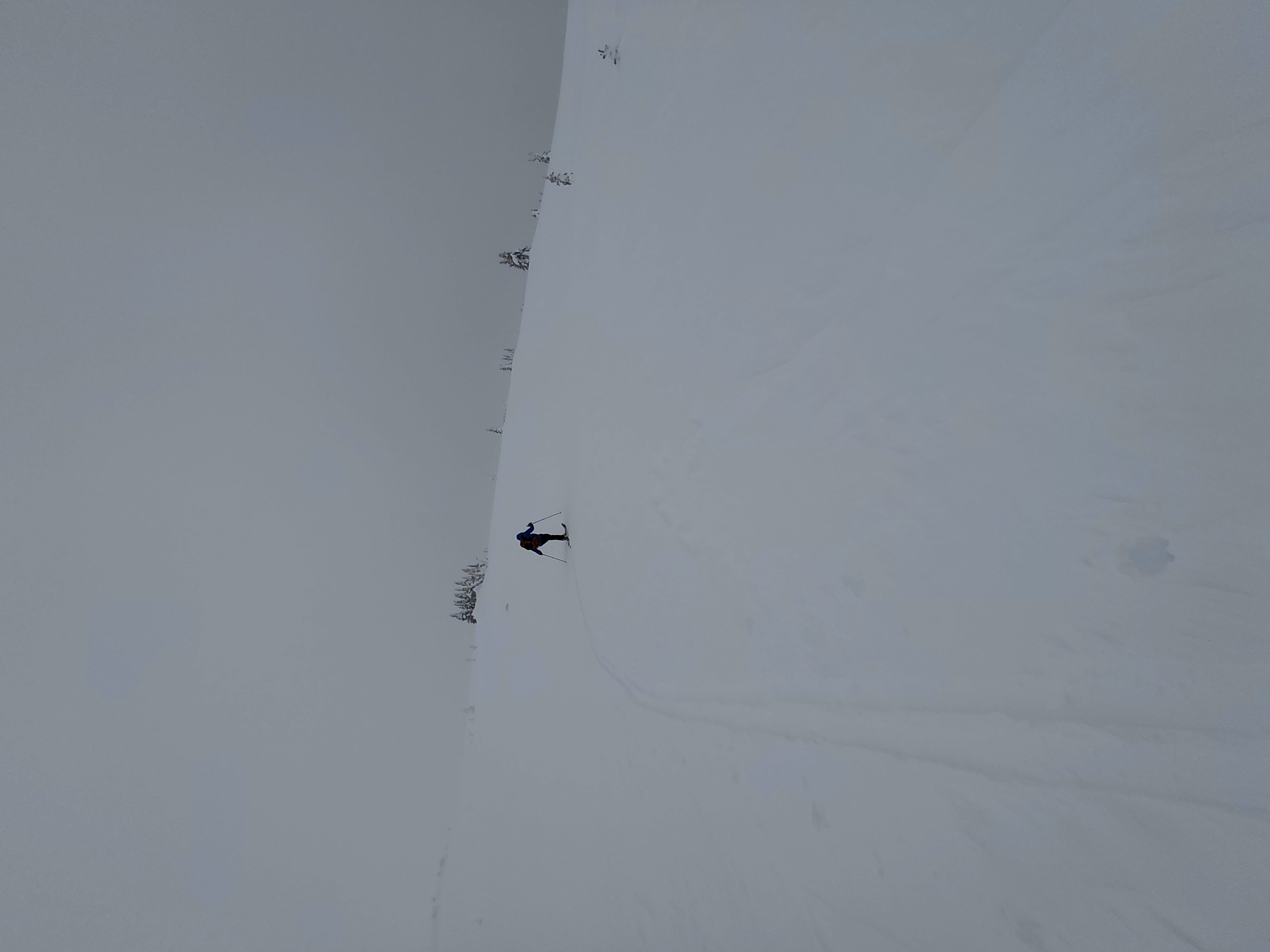 Observation photo