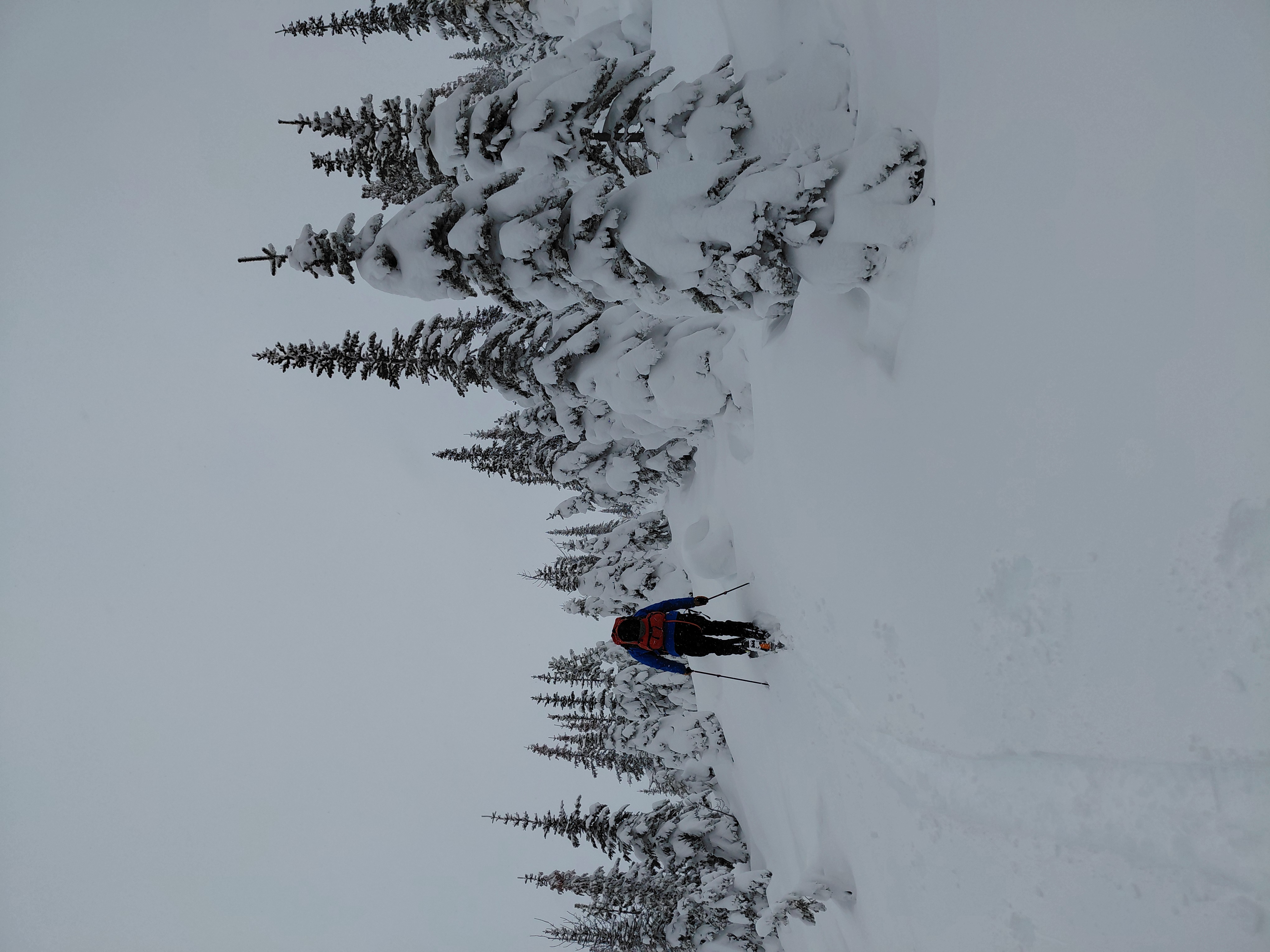 Observation photo