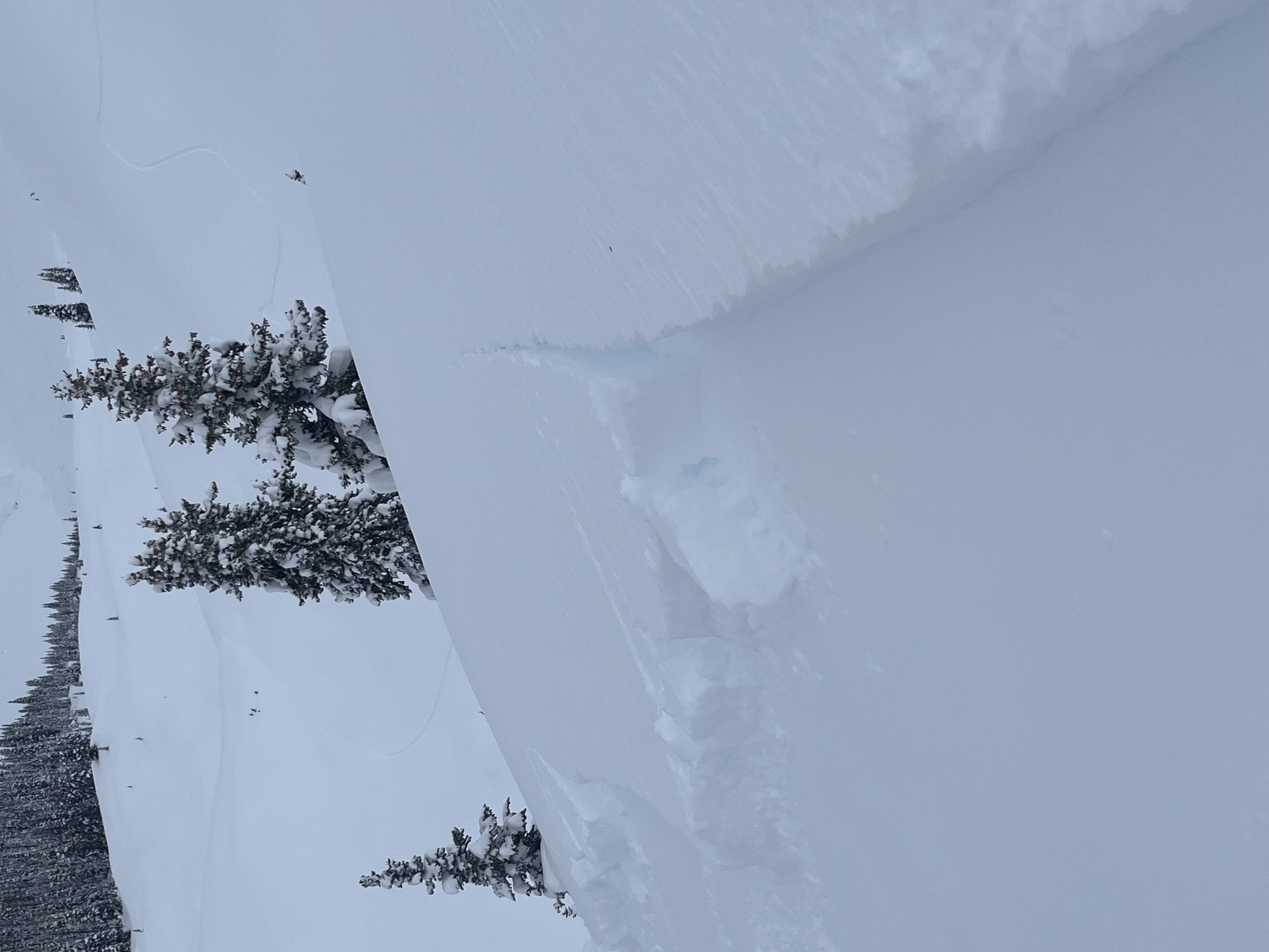 Observation photo