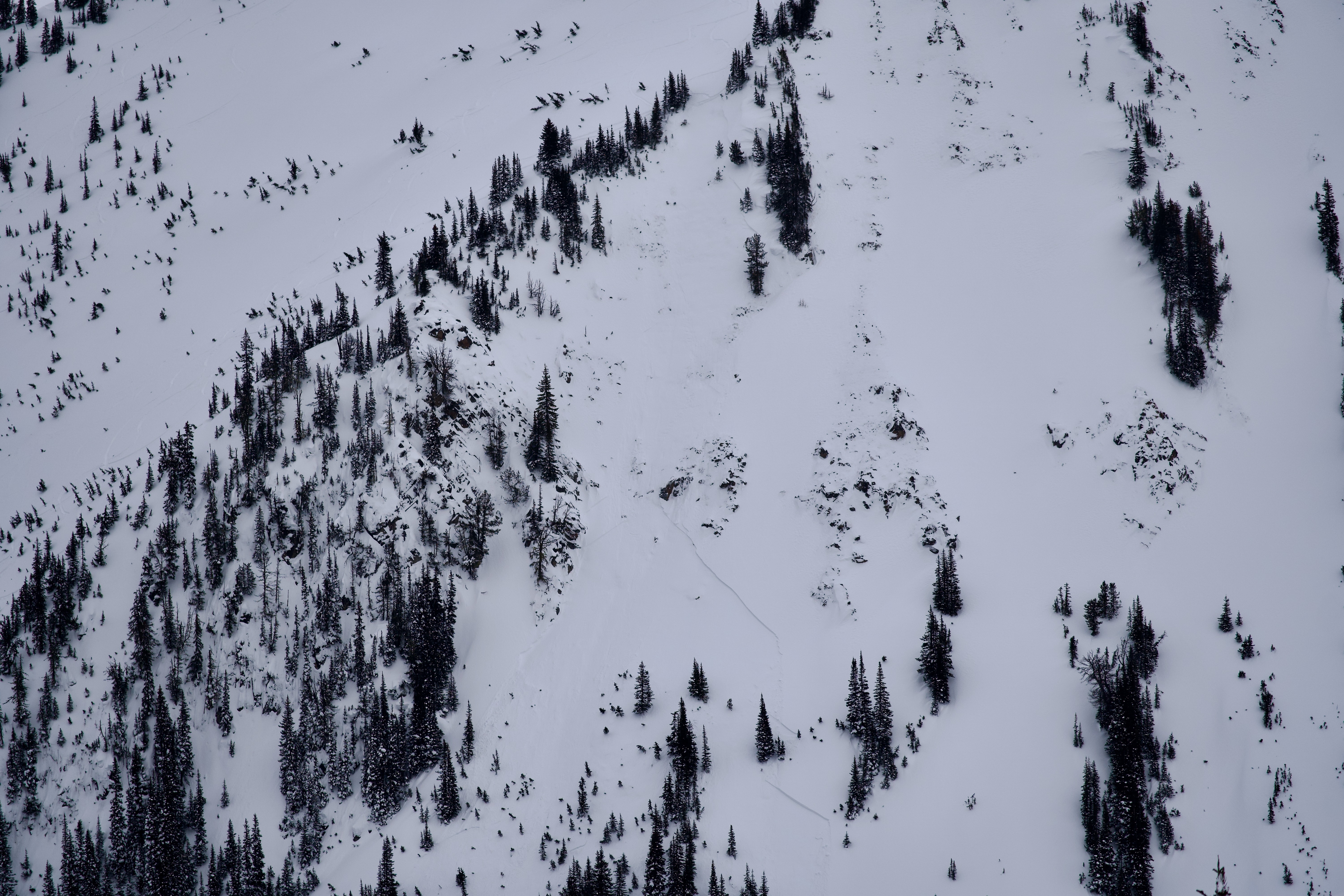 Observation photo