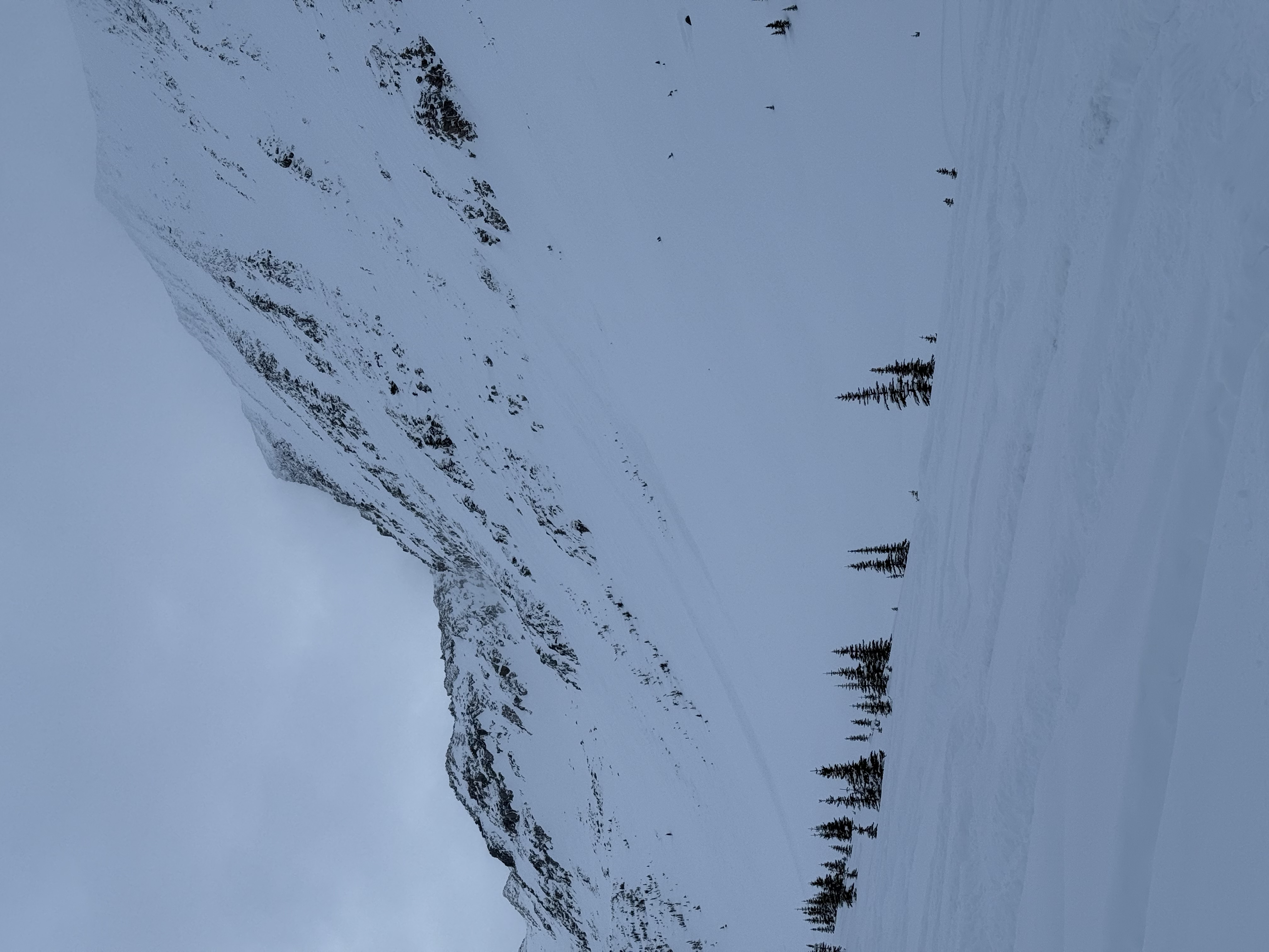 Observation photo