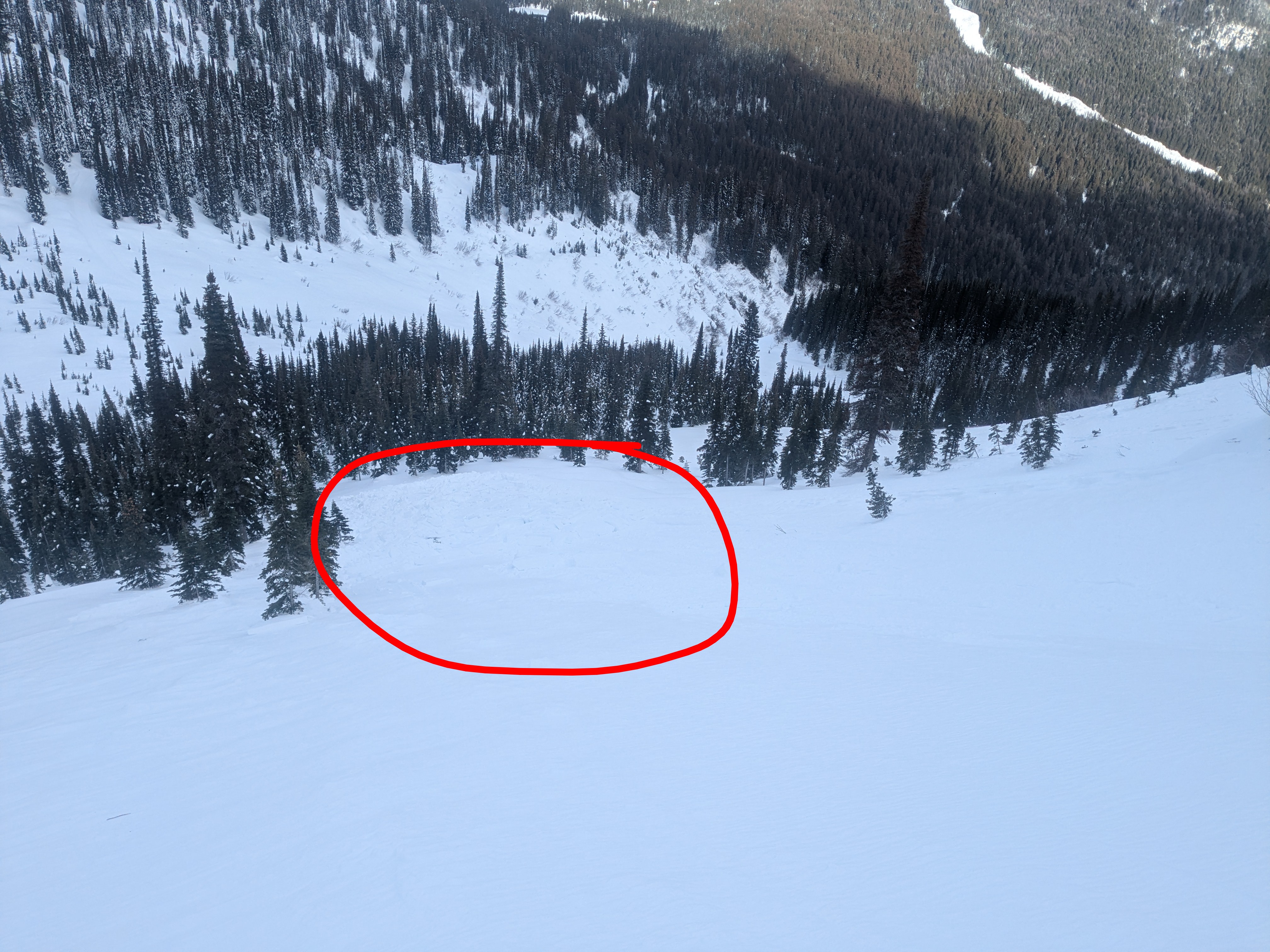 Observation photo