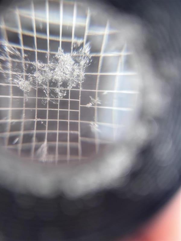 Observation photo