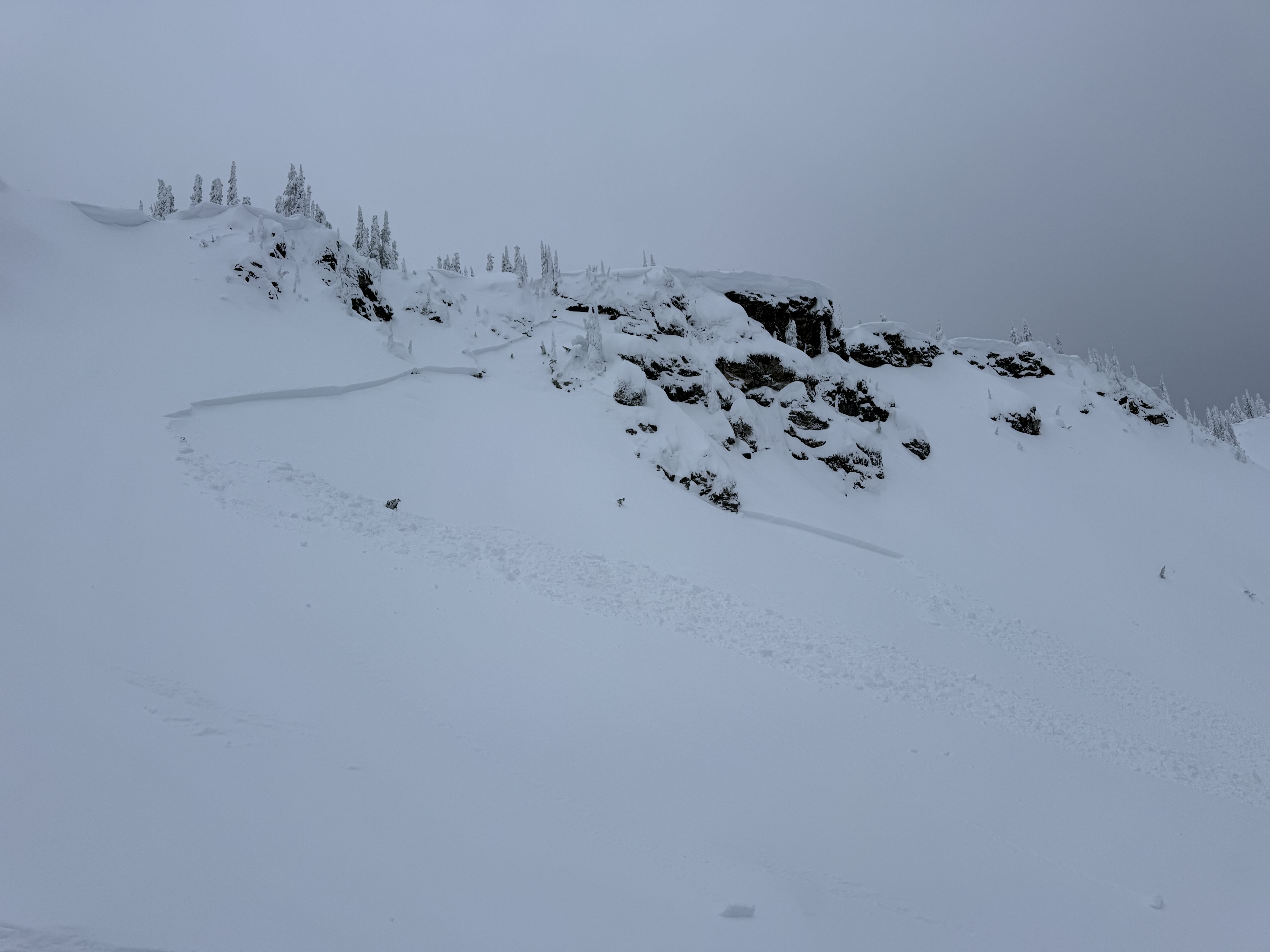 Observation photo