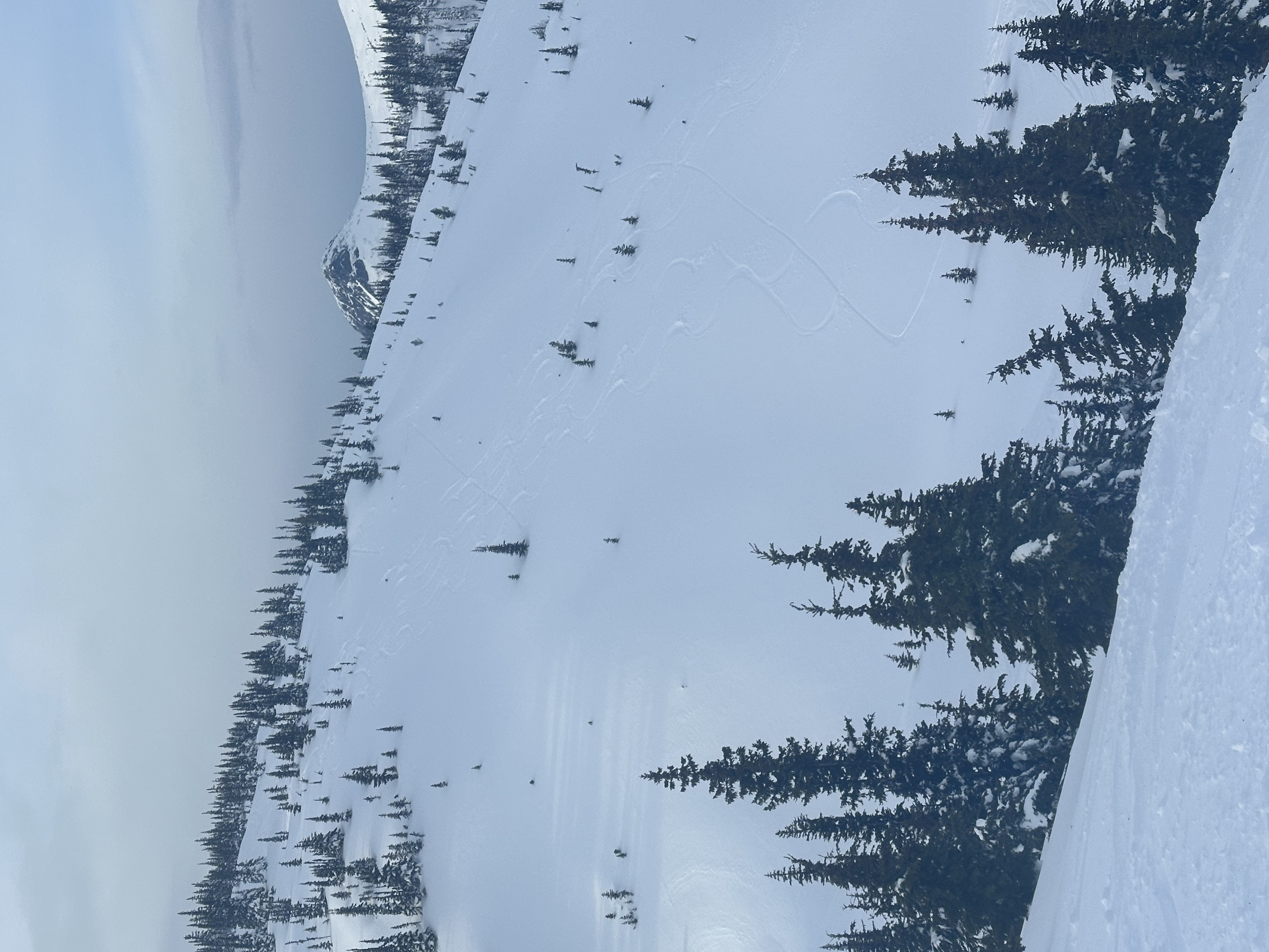 Observation photo