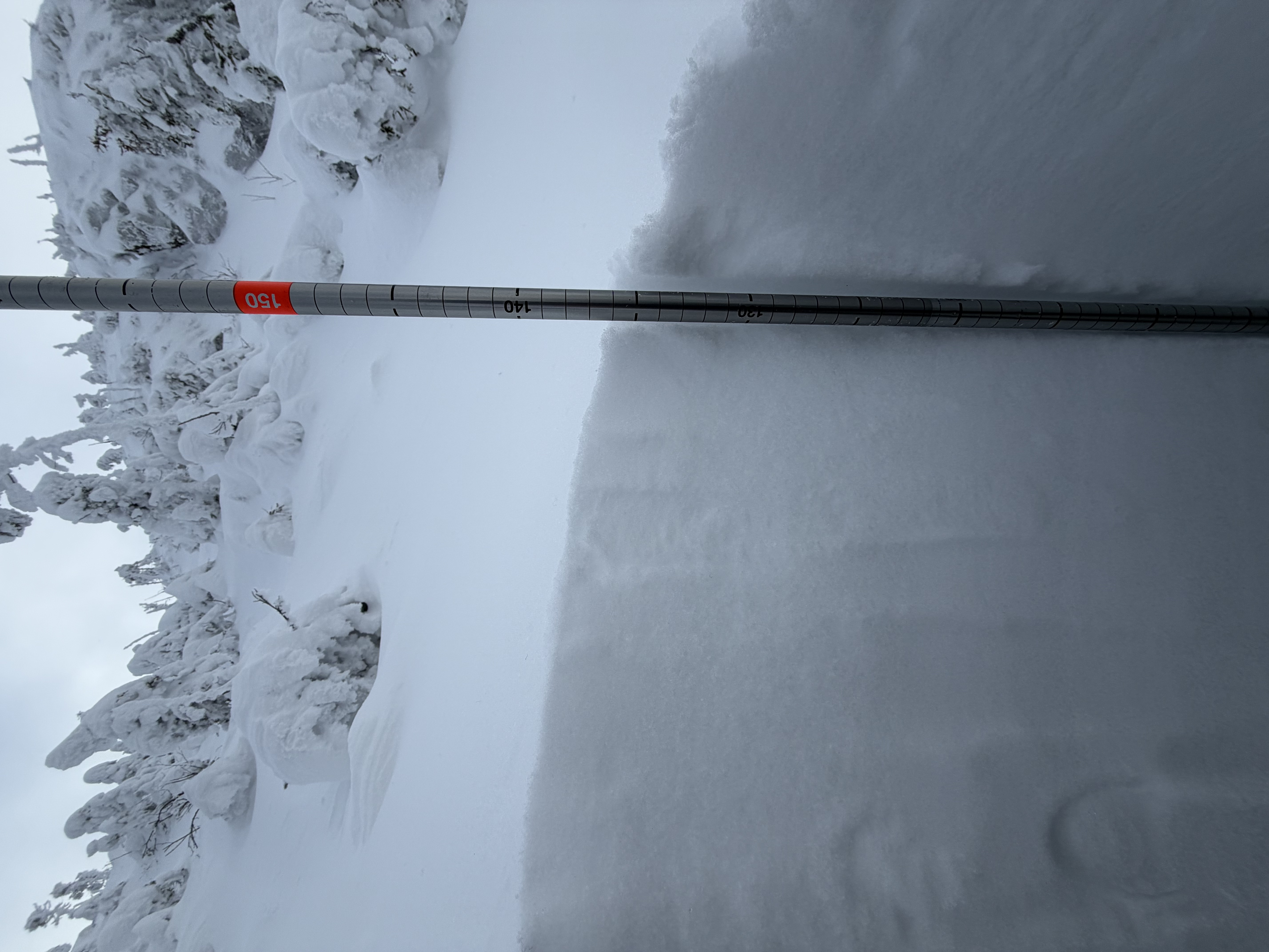 Observation photo
