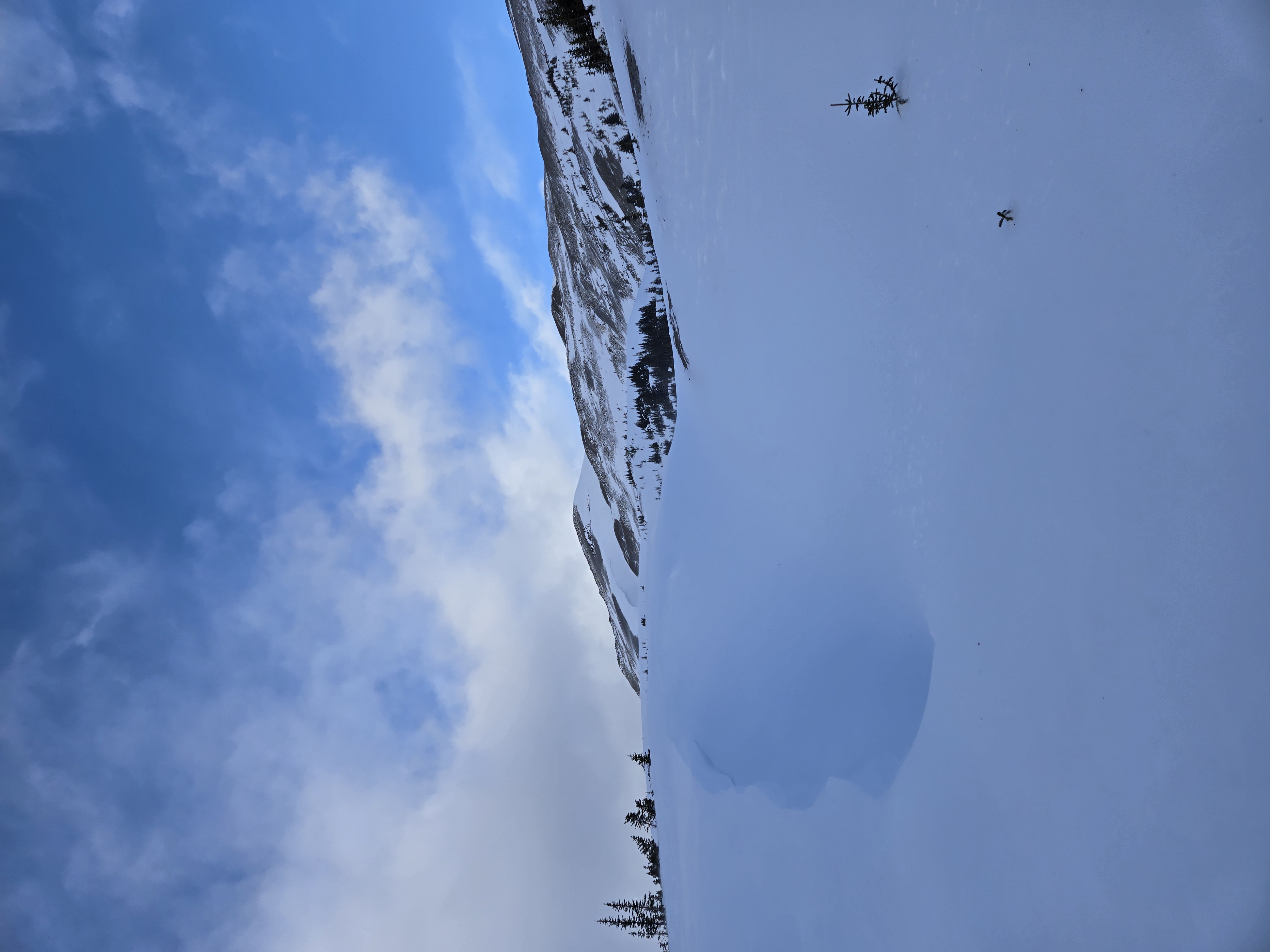 Observation photo