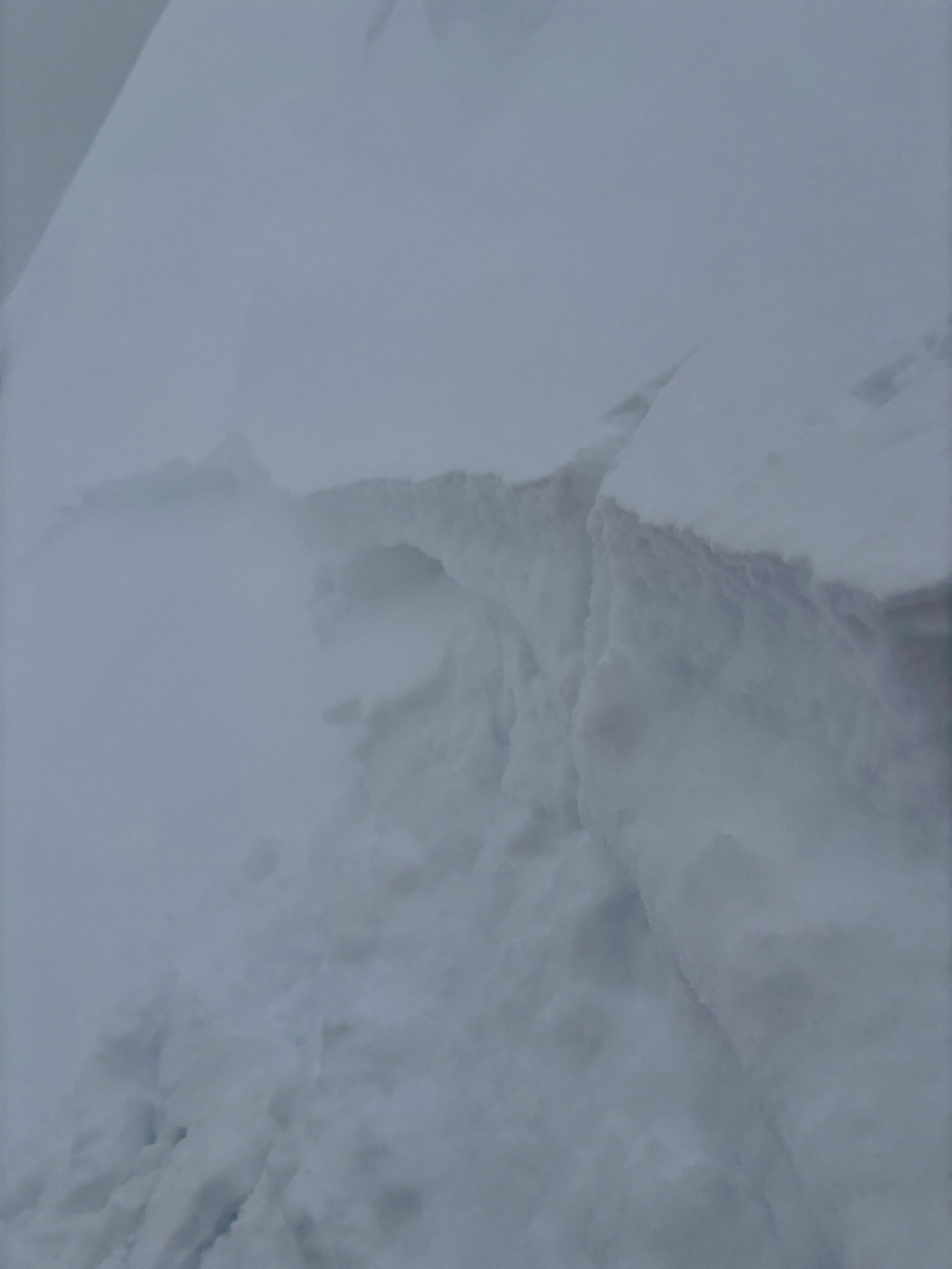 Observation photo