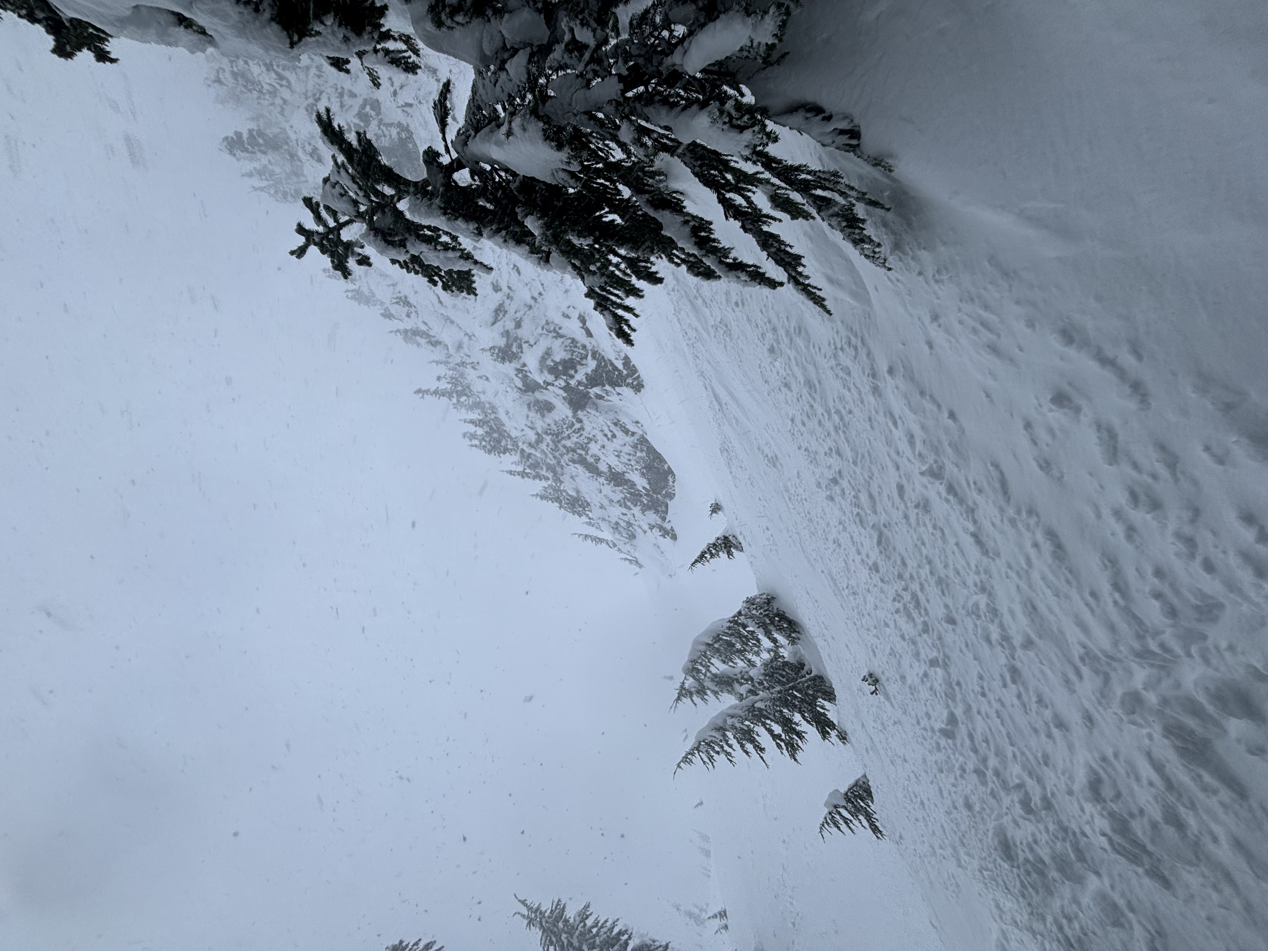 Observation photo