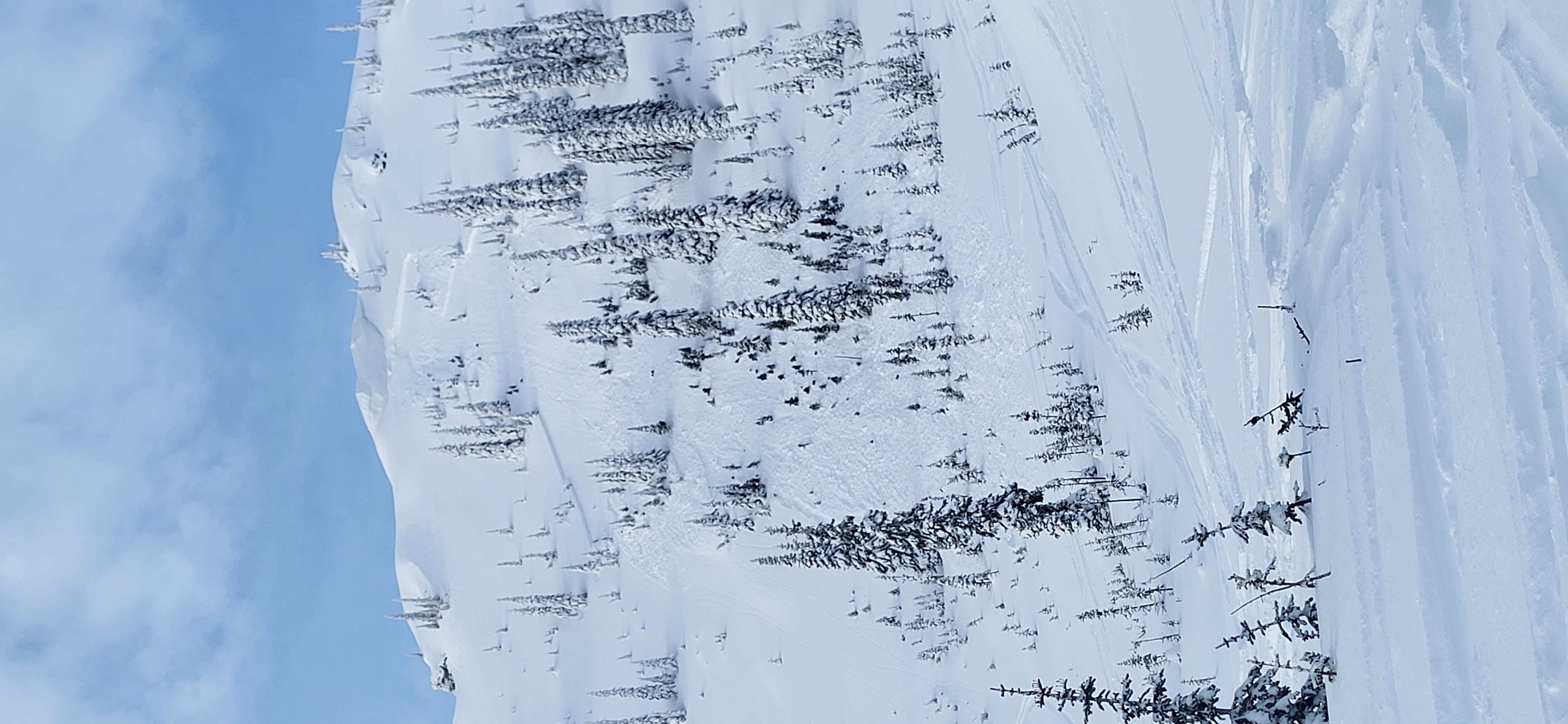 Observation photo