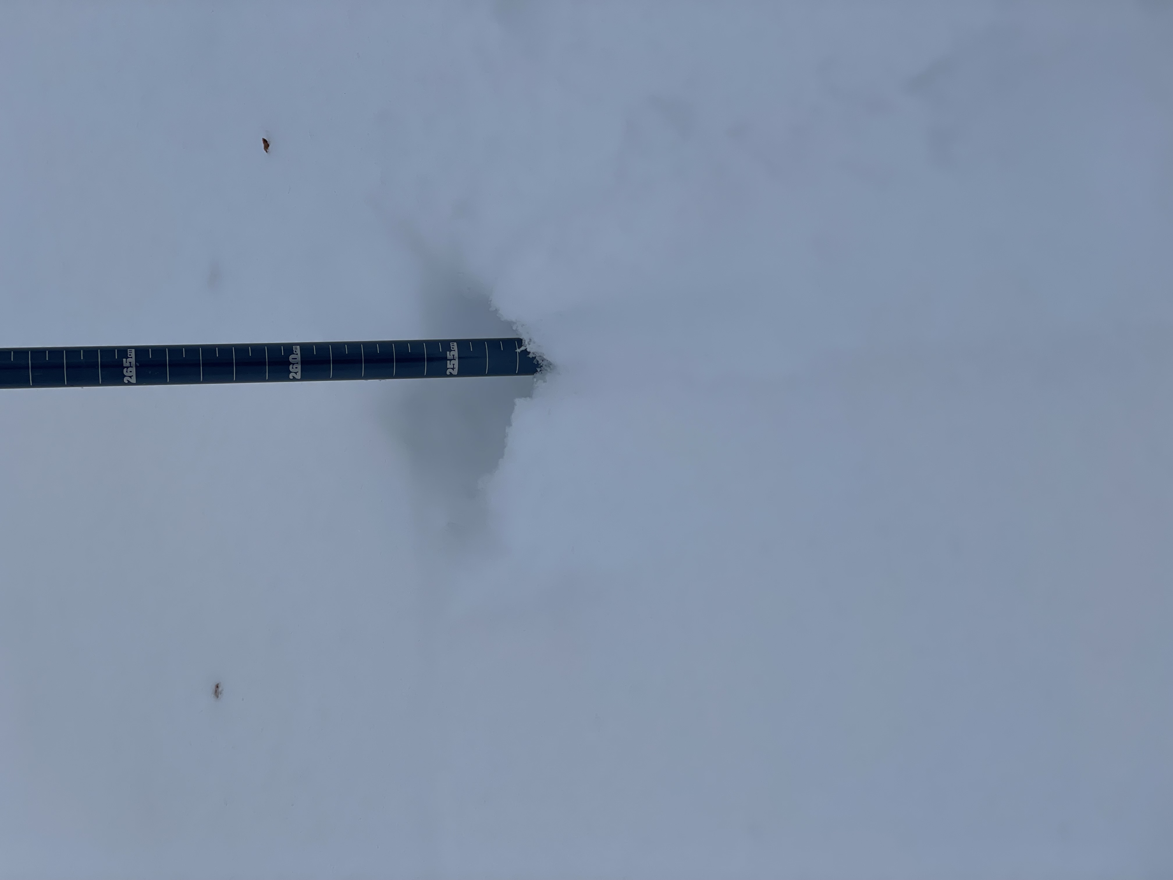 Observation photo