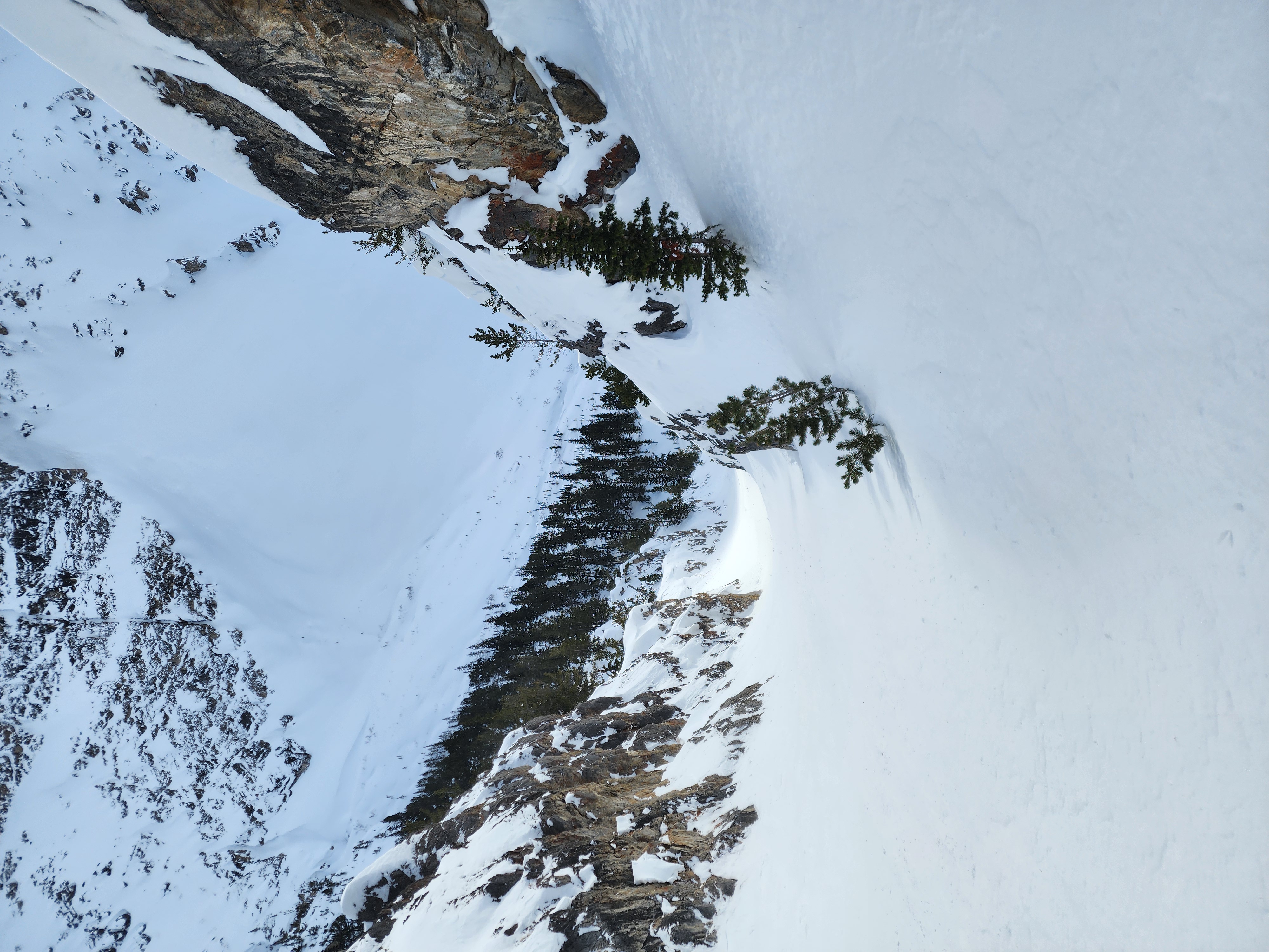 Observation photo