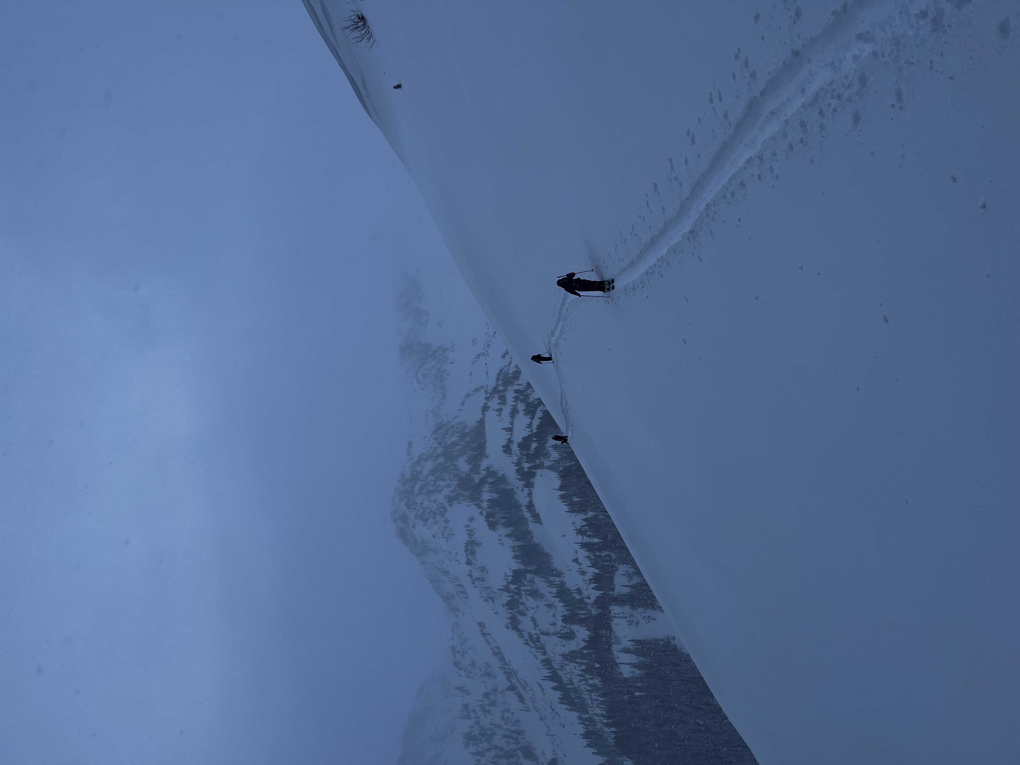 Observation photo