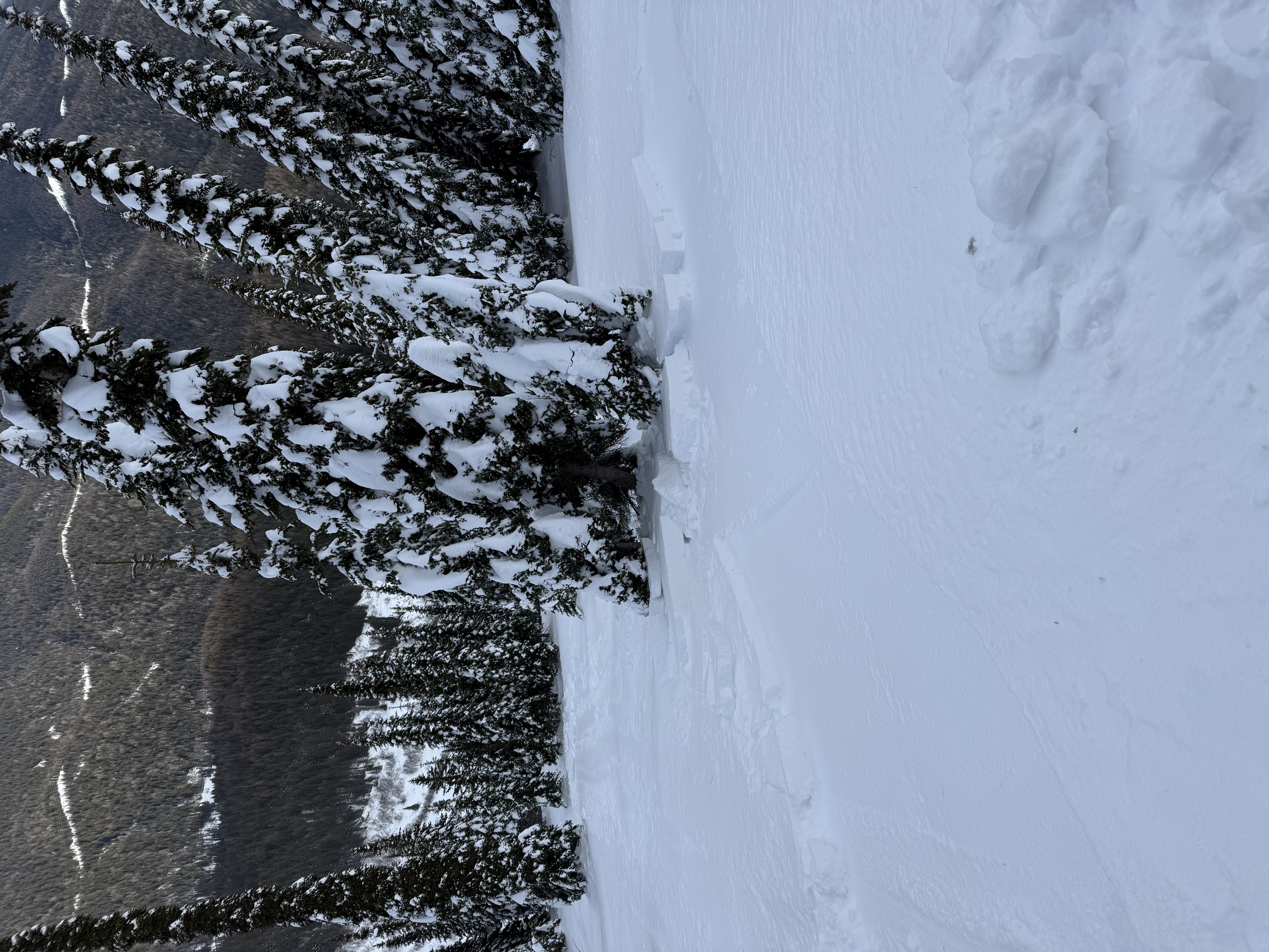 Observation photo