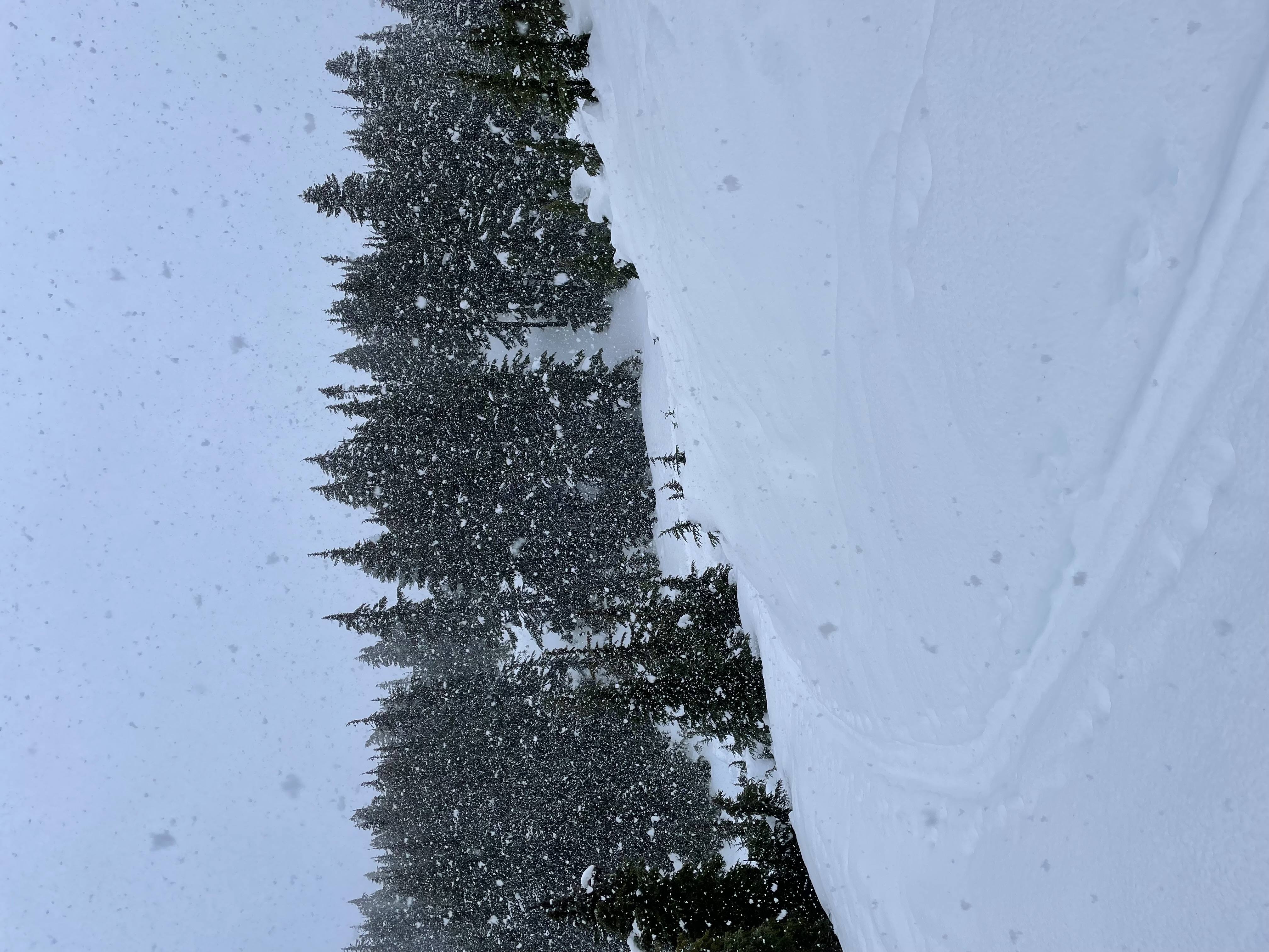 Observation photo
