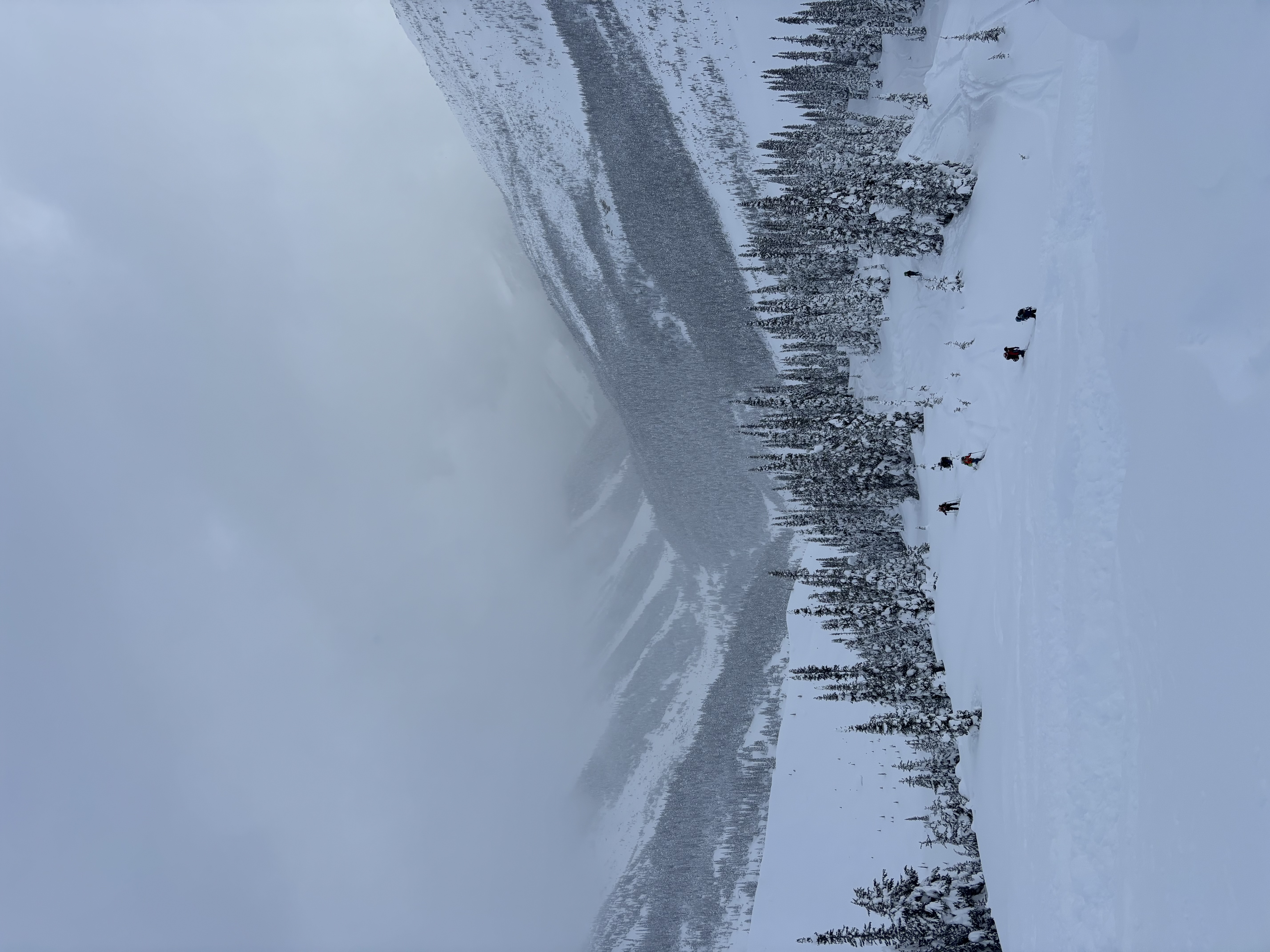 Observation photo