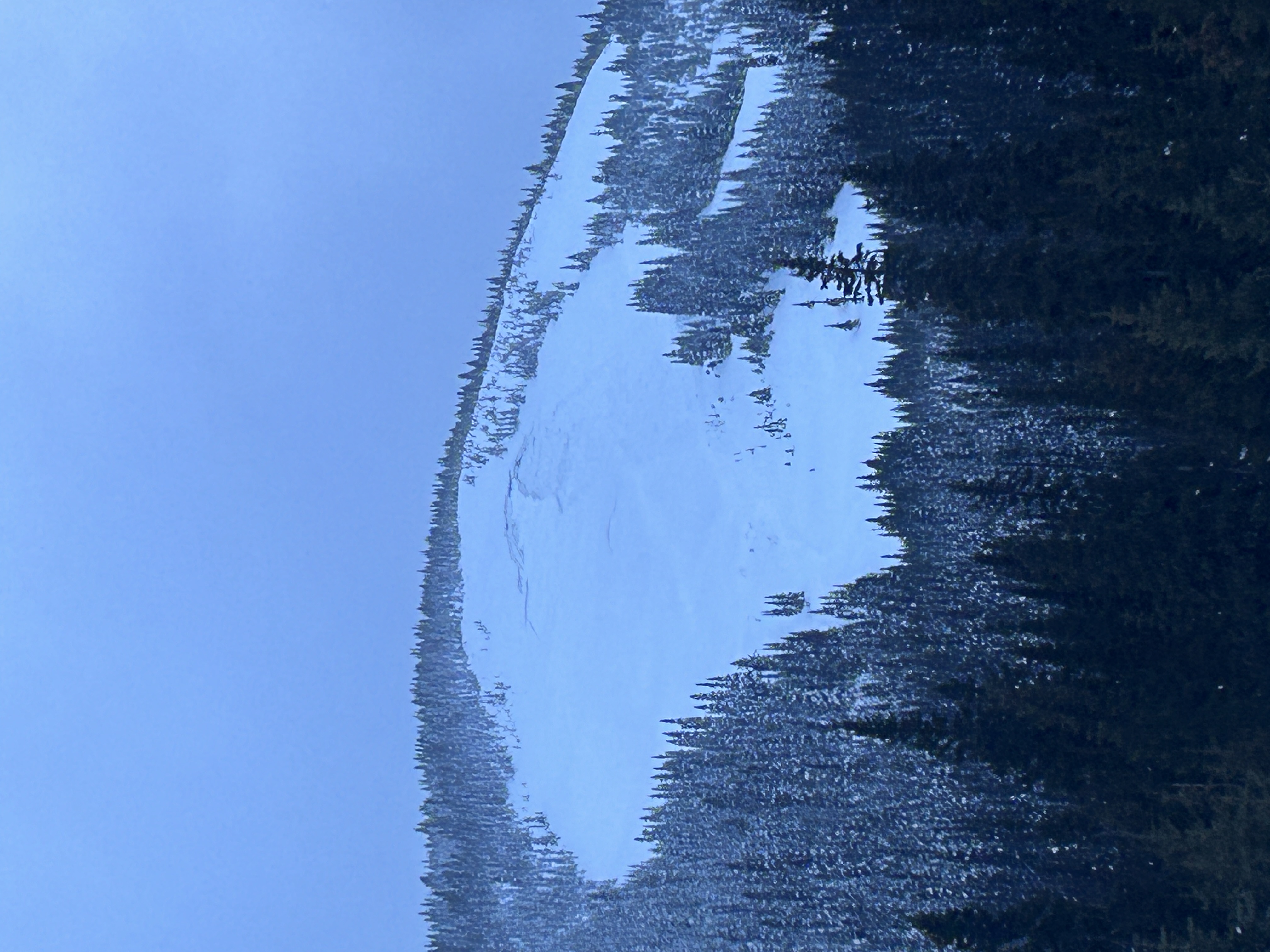 Observation photo
