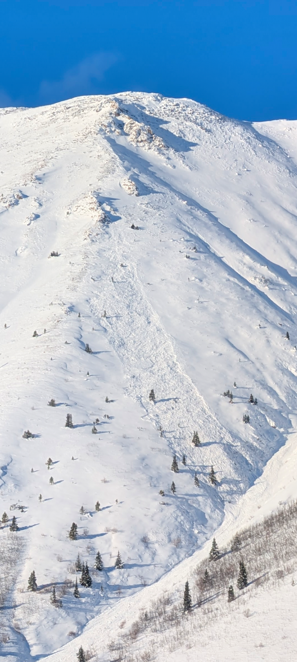 Observation photo