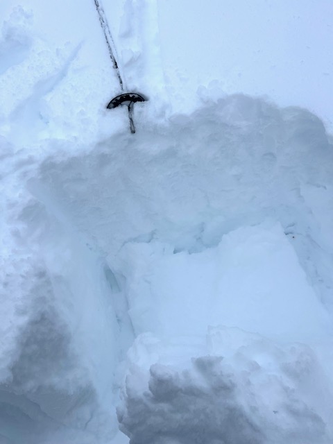 Observation photo