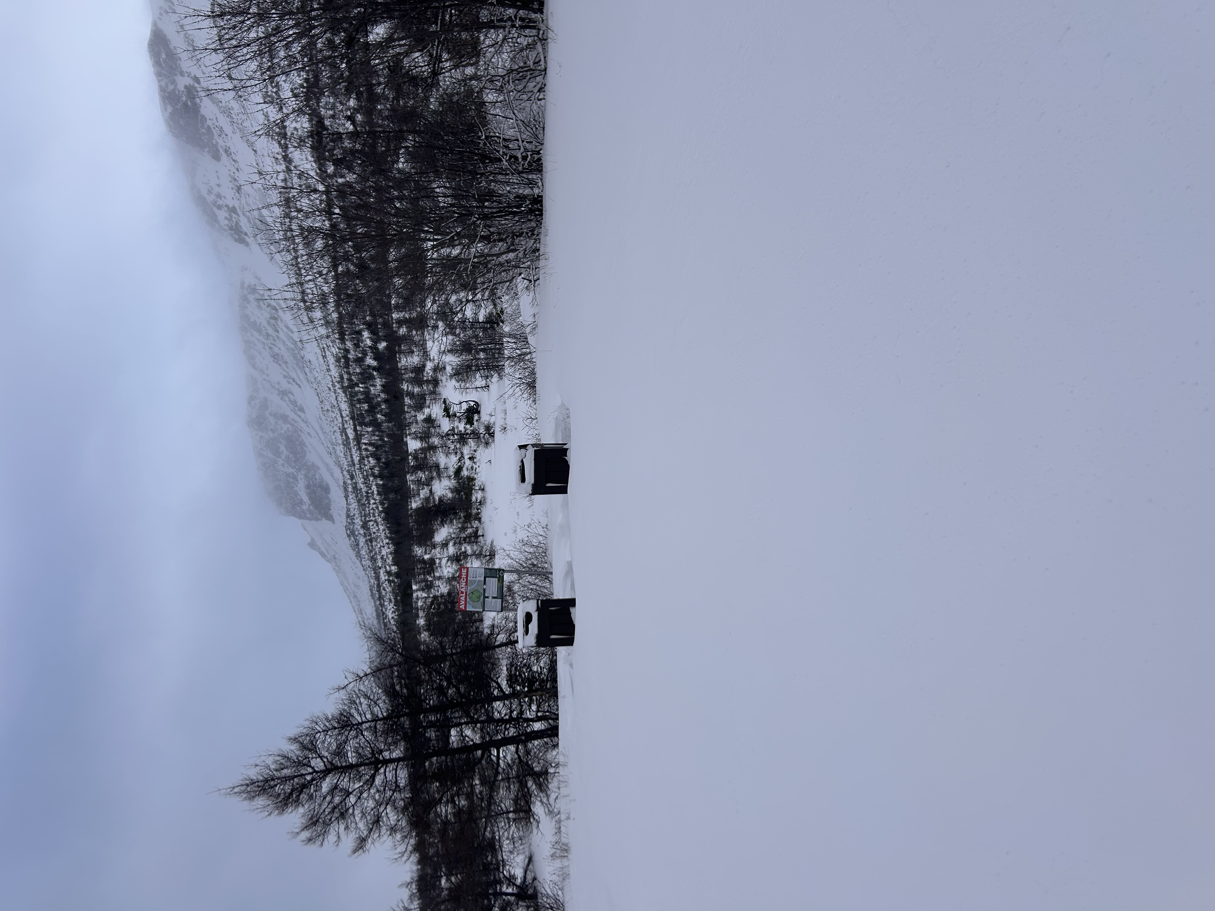 Observation photo