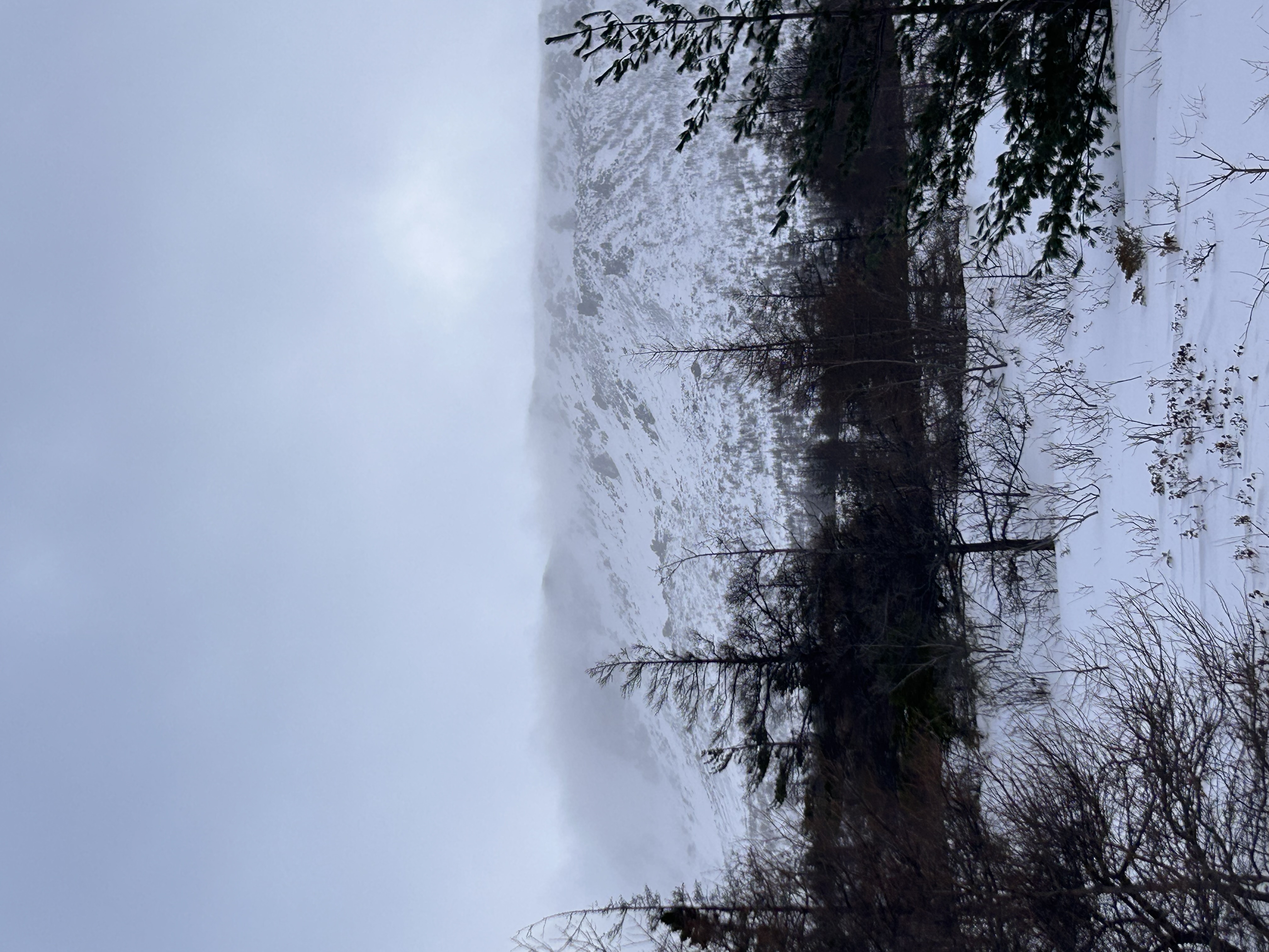Observation photo