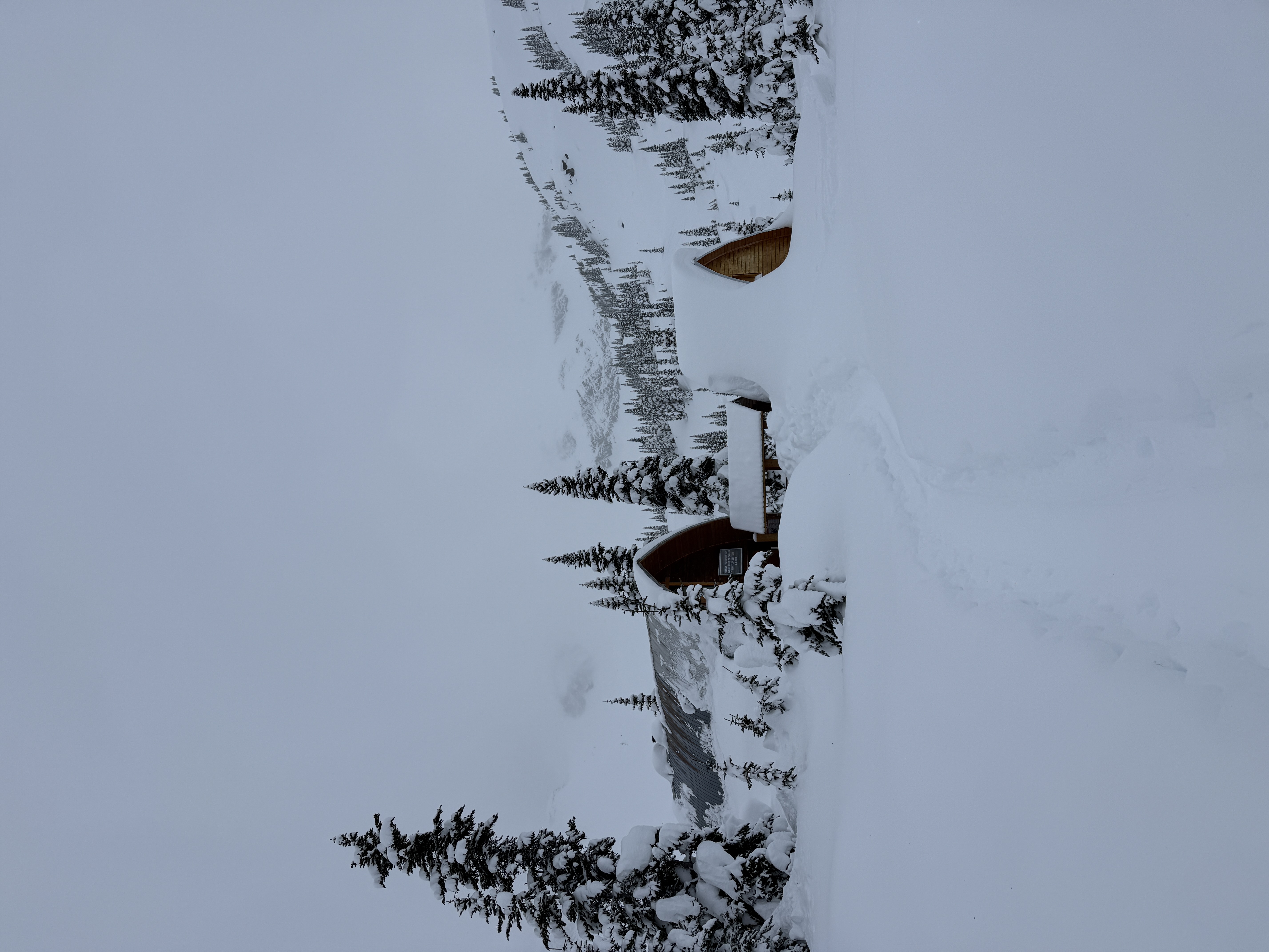 Observation photo