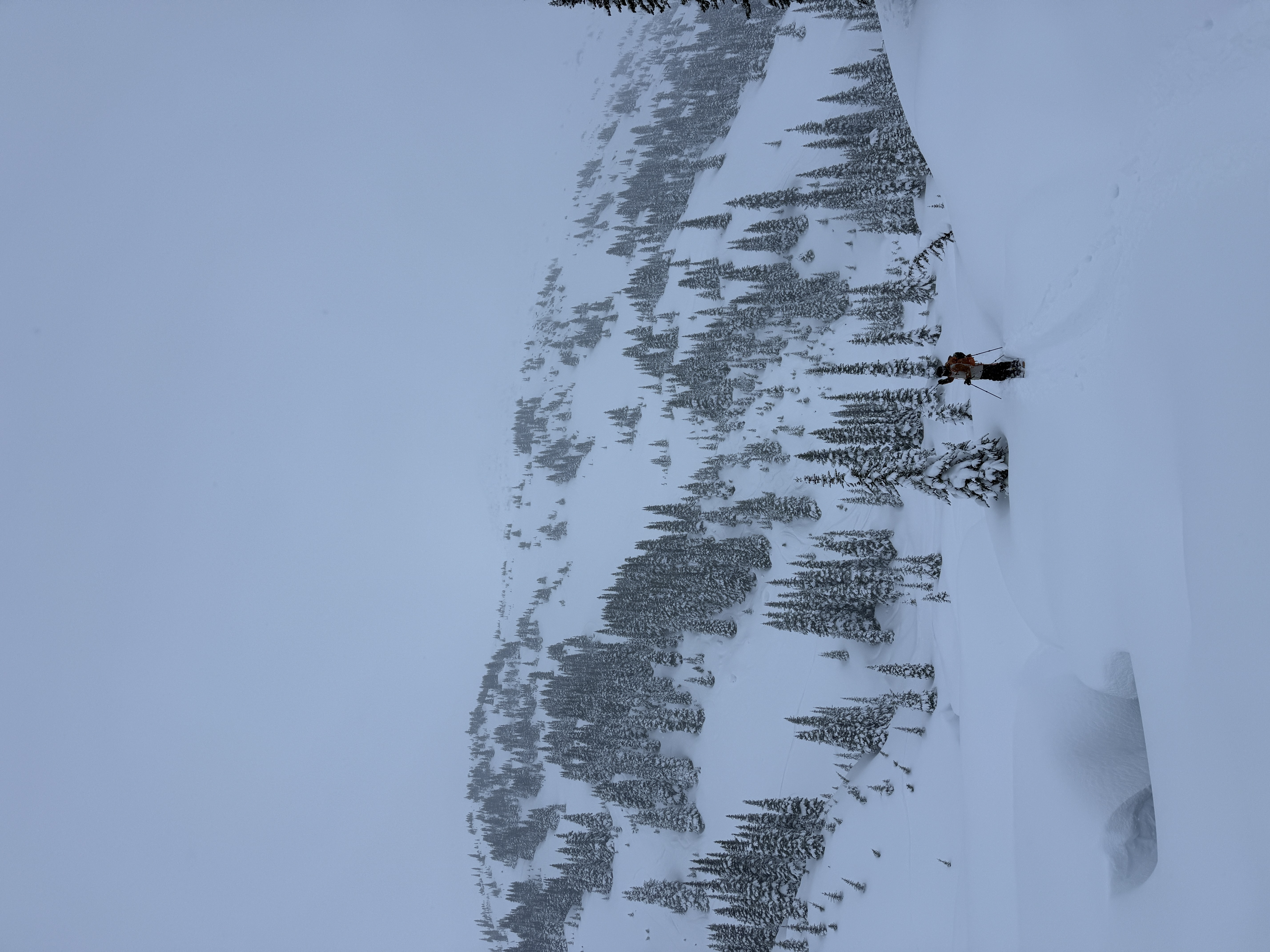 Observation photo