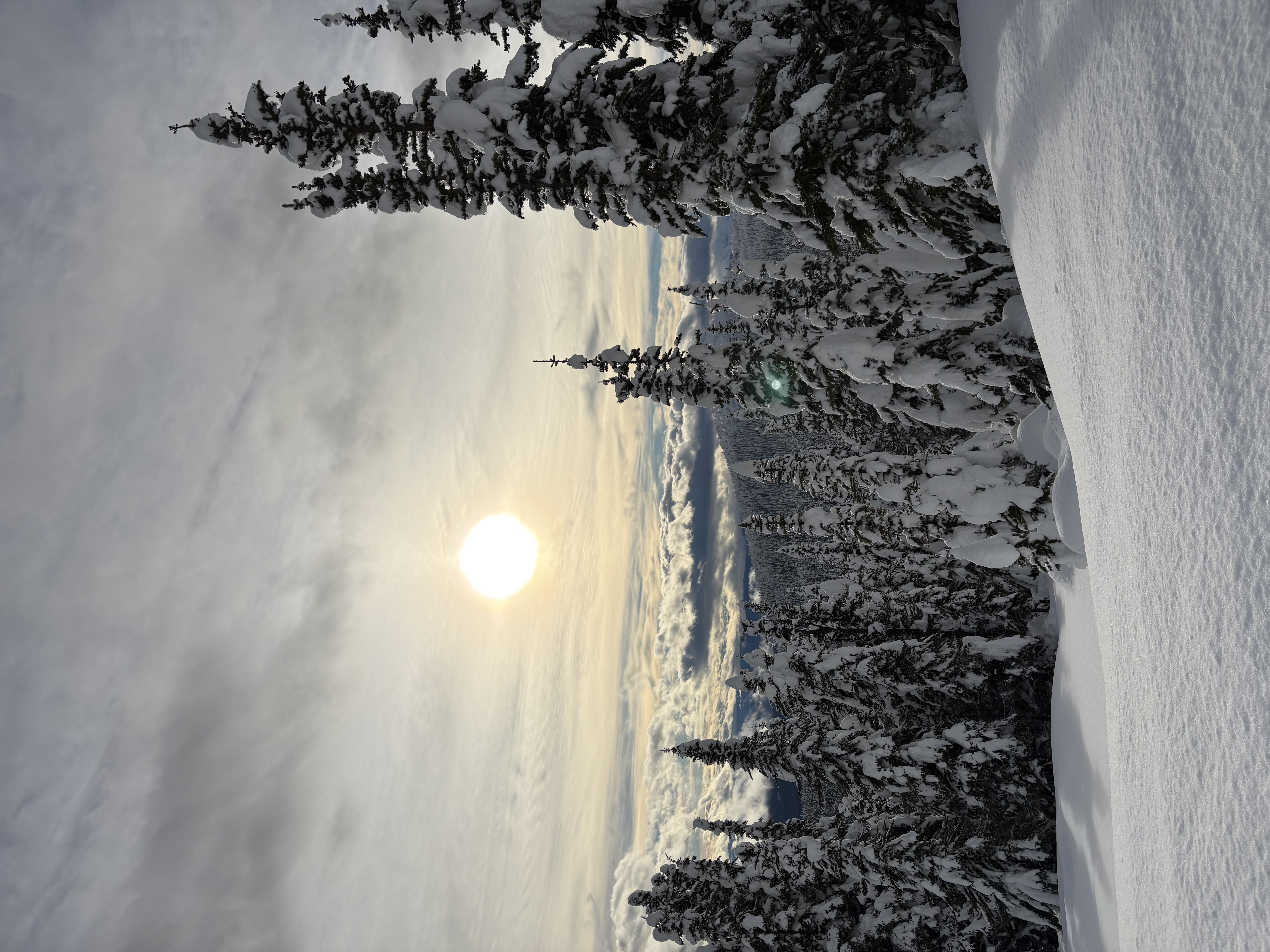 Observation photo