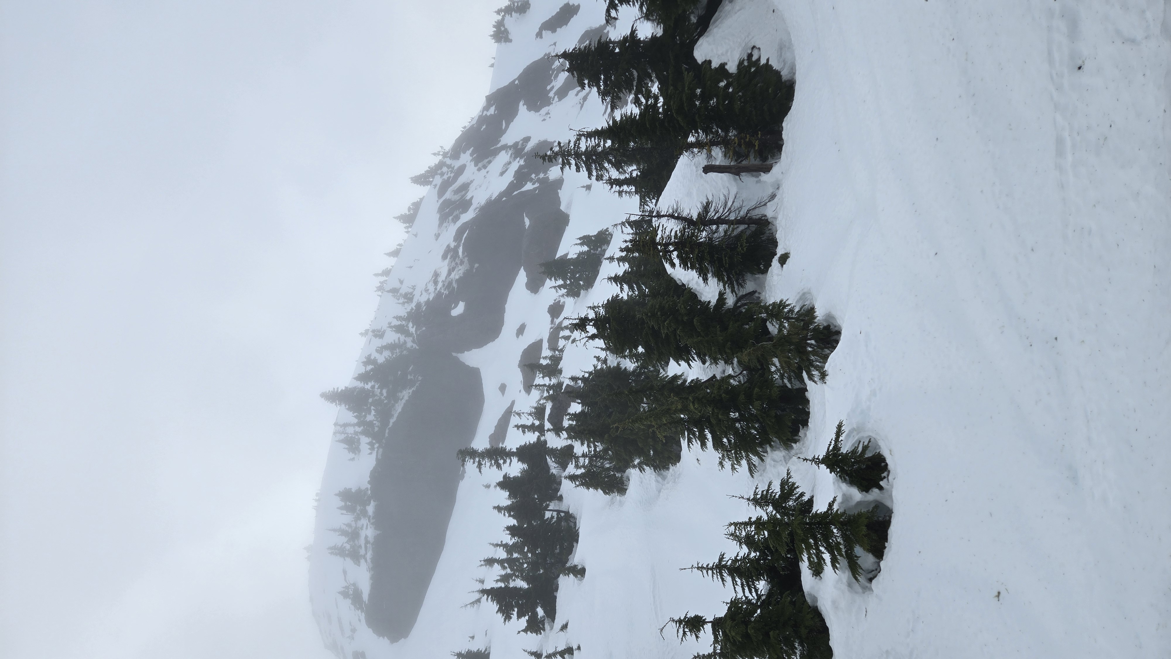 Observation photo