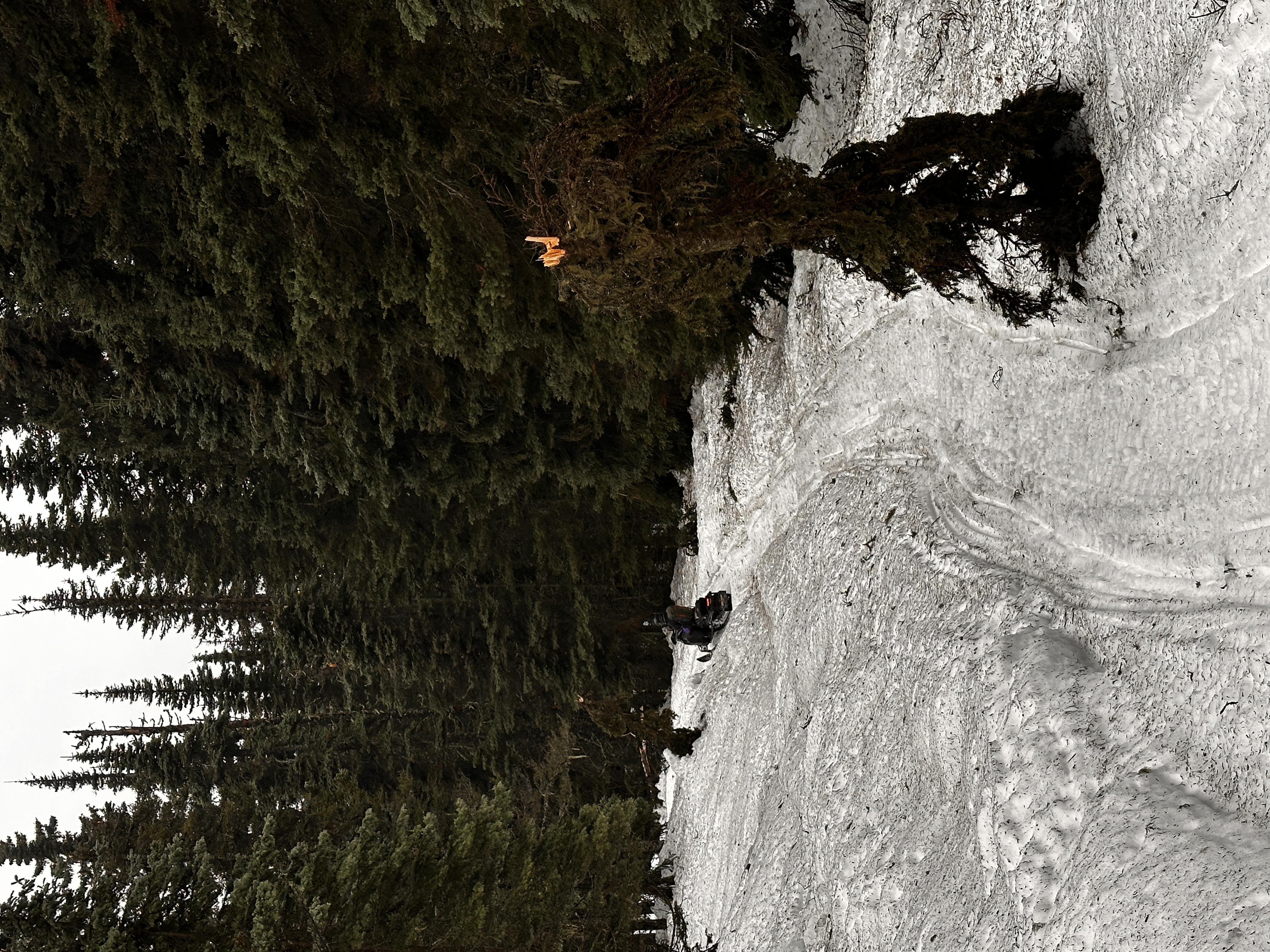 Observation photo