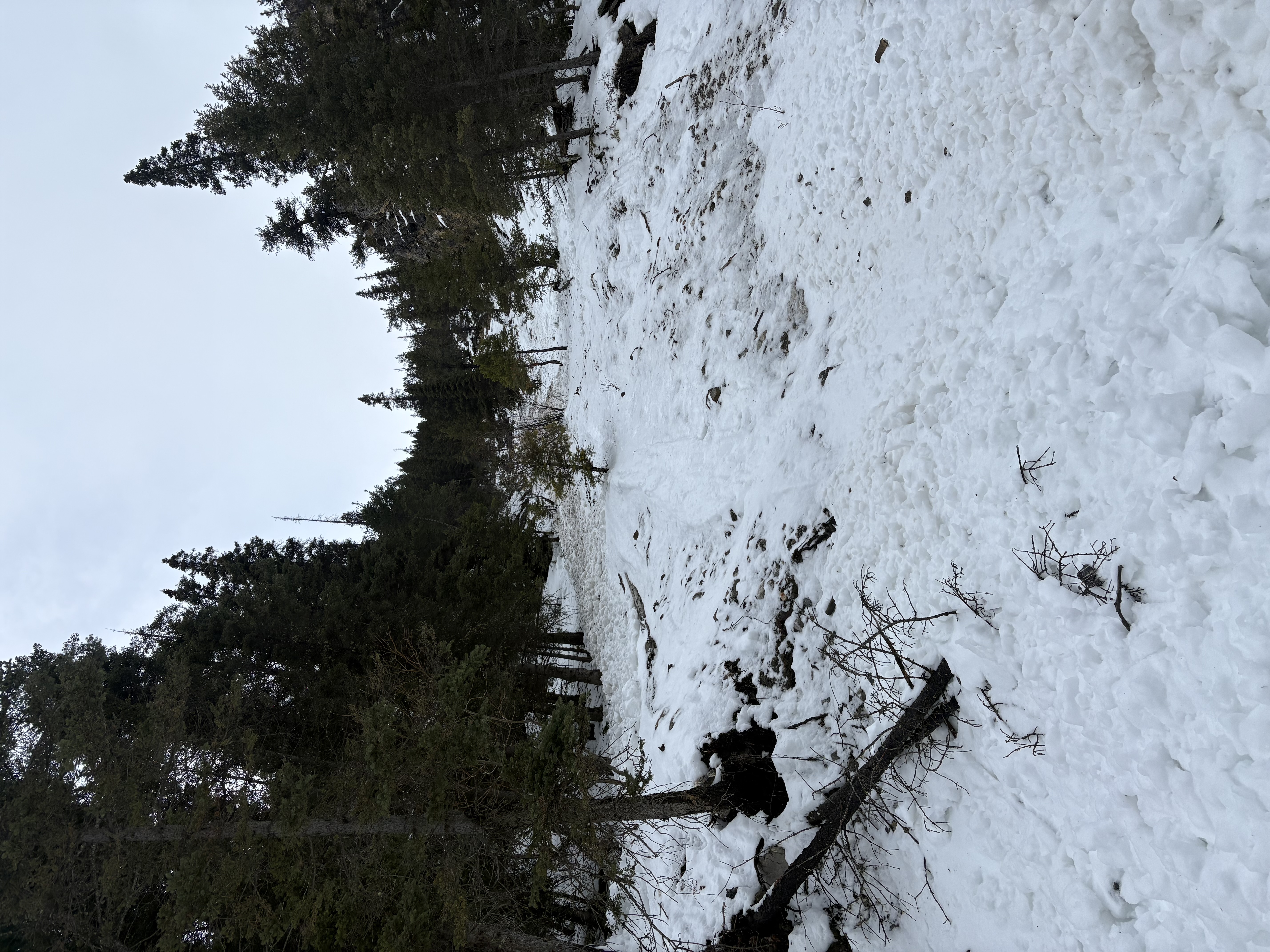 Observation photo