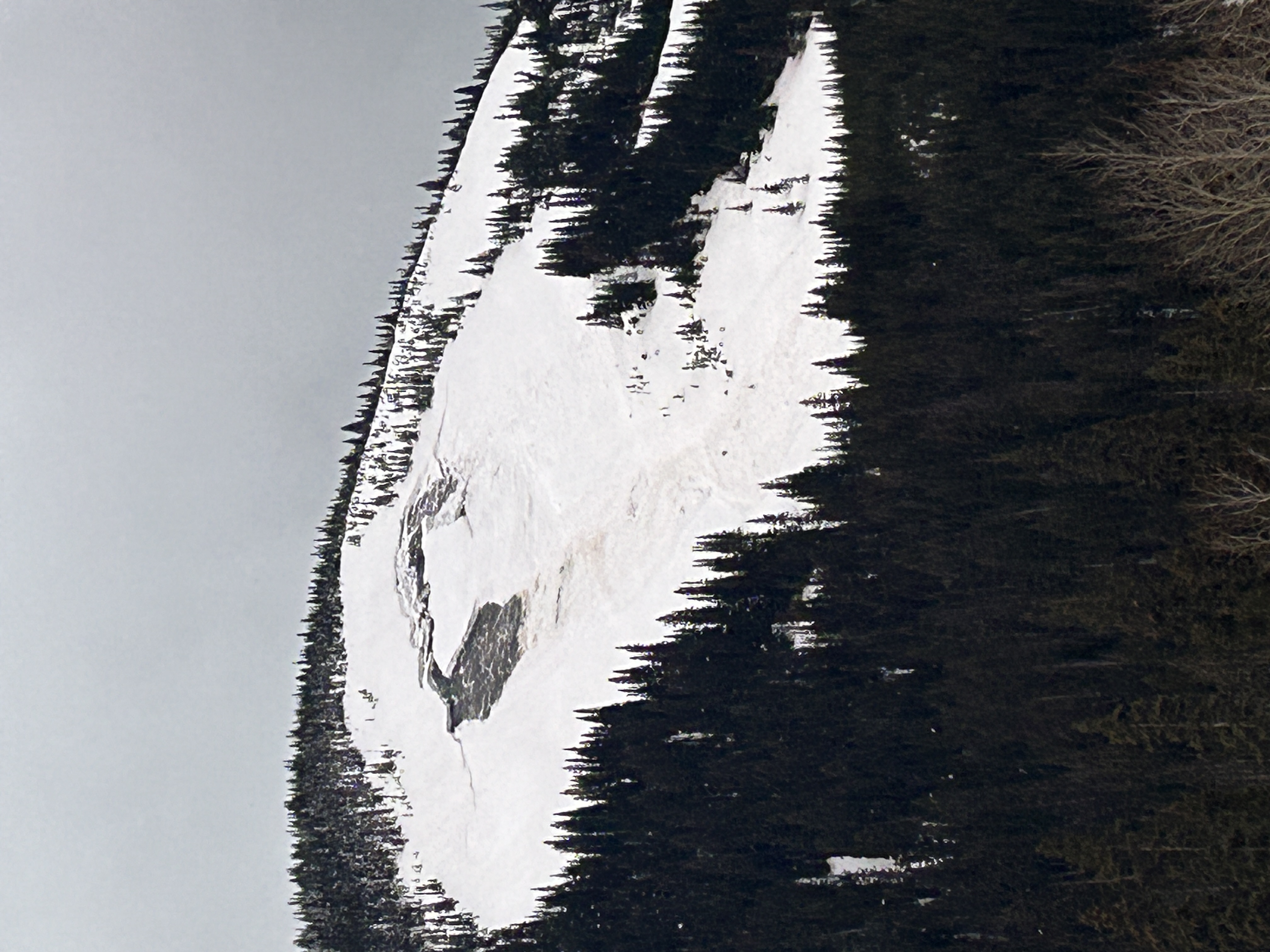 Observation photo