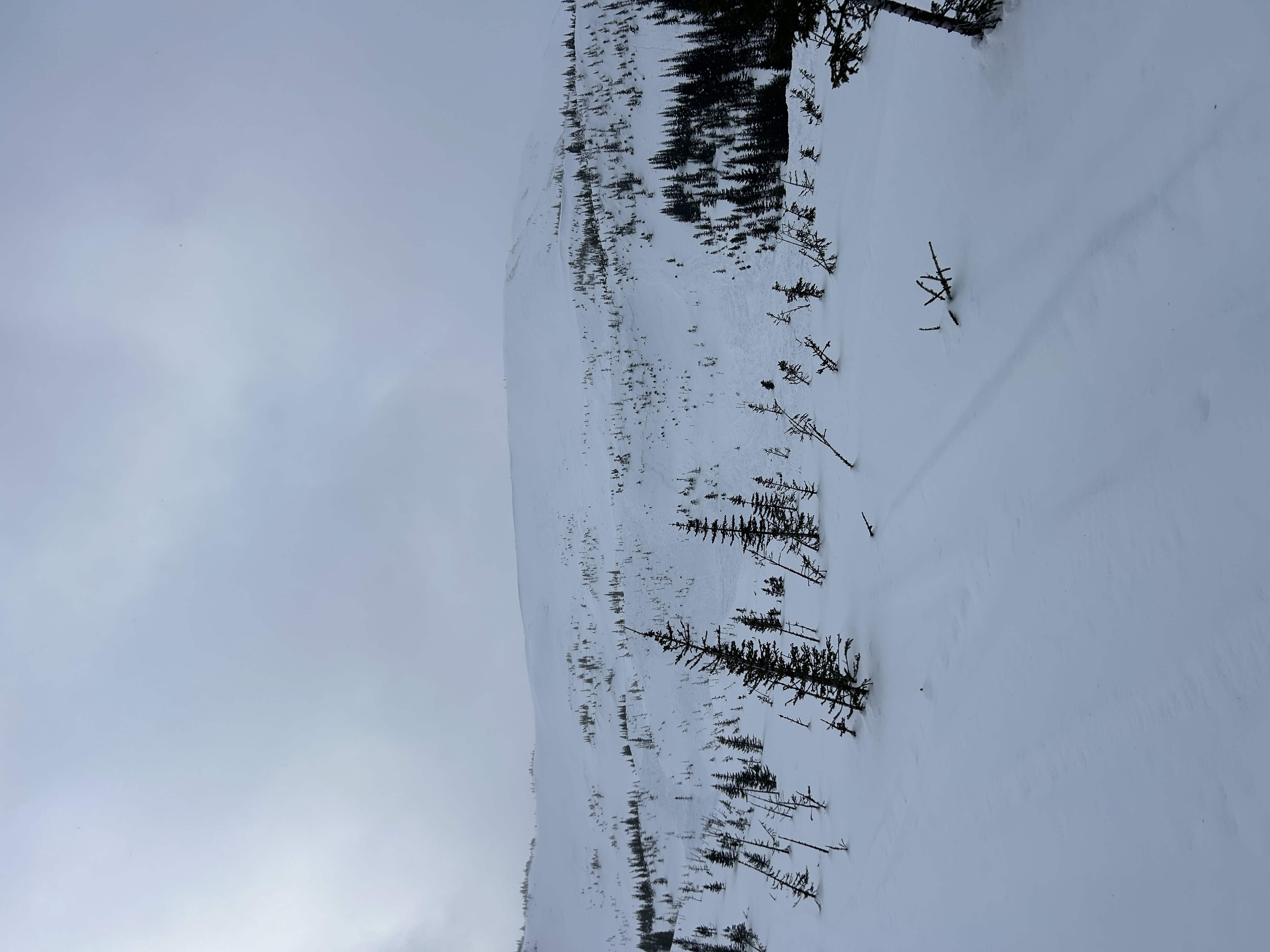 Observation photo