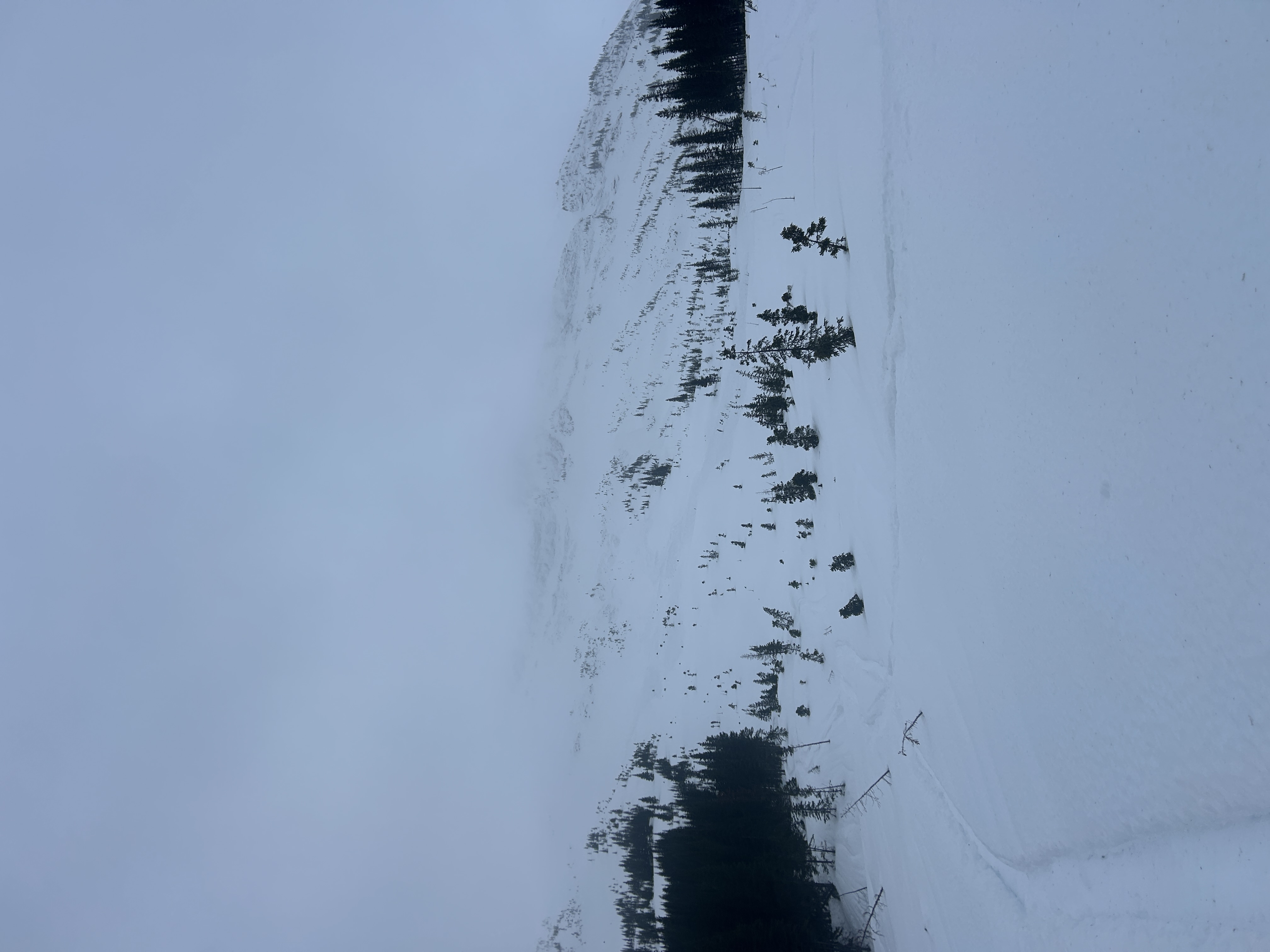 Observation photo