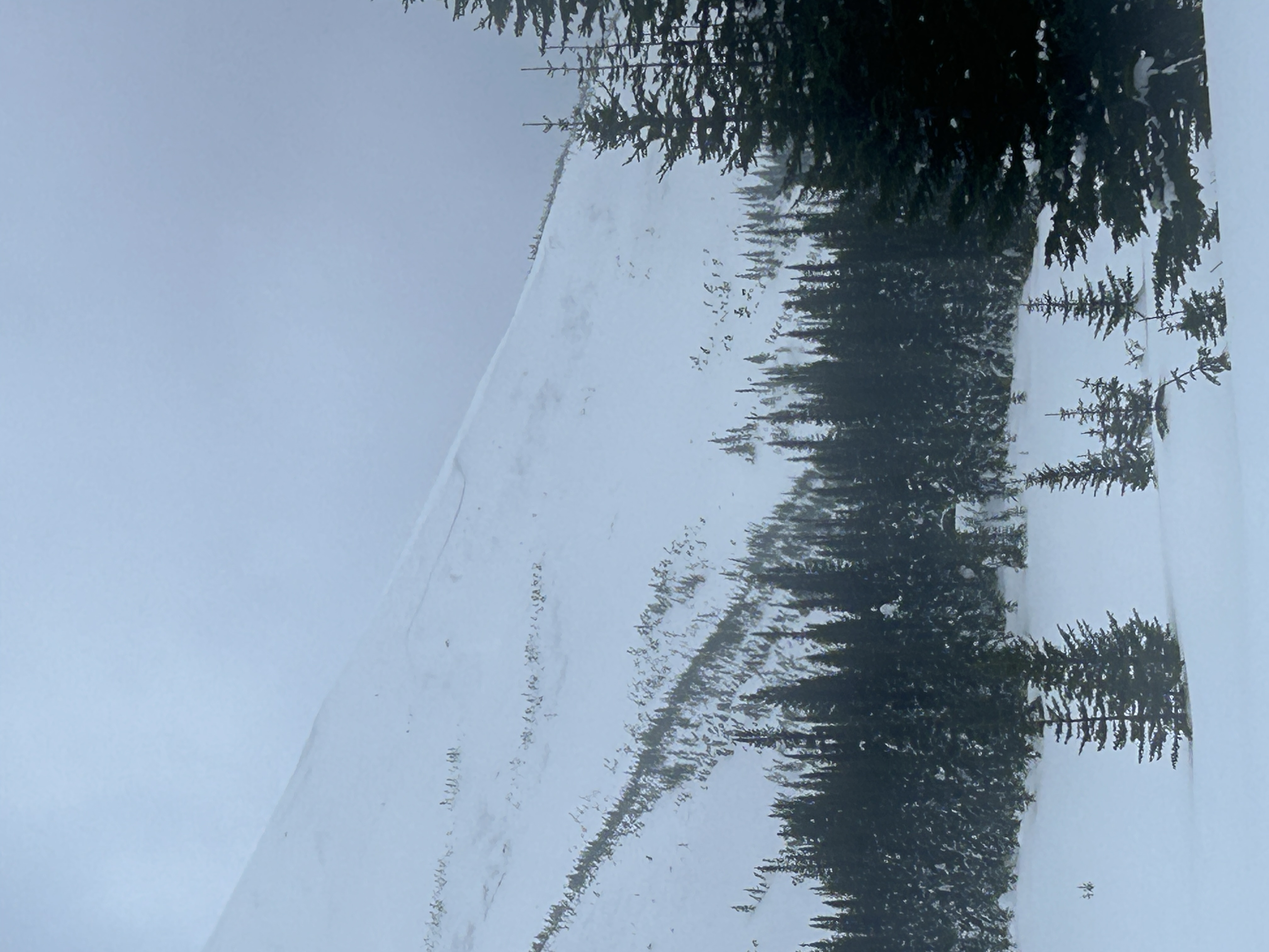 Observation photo